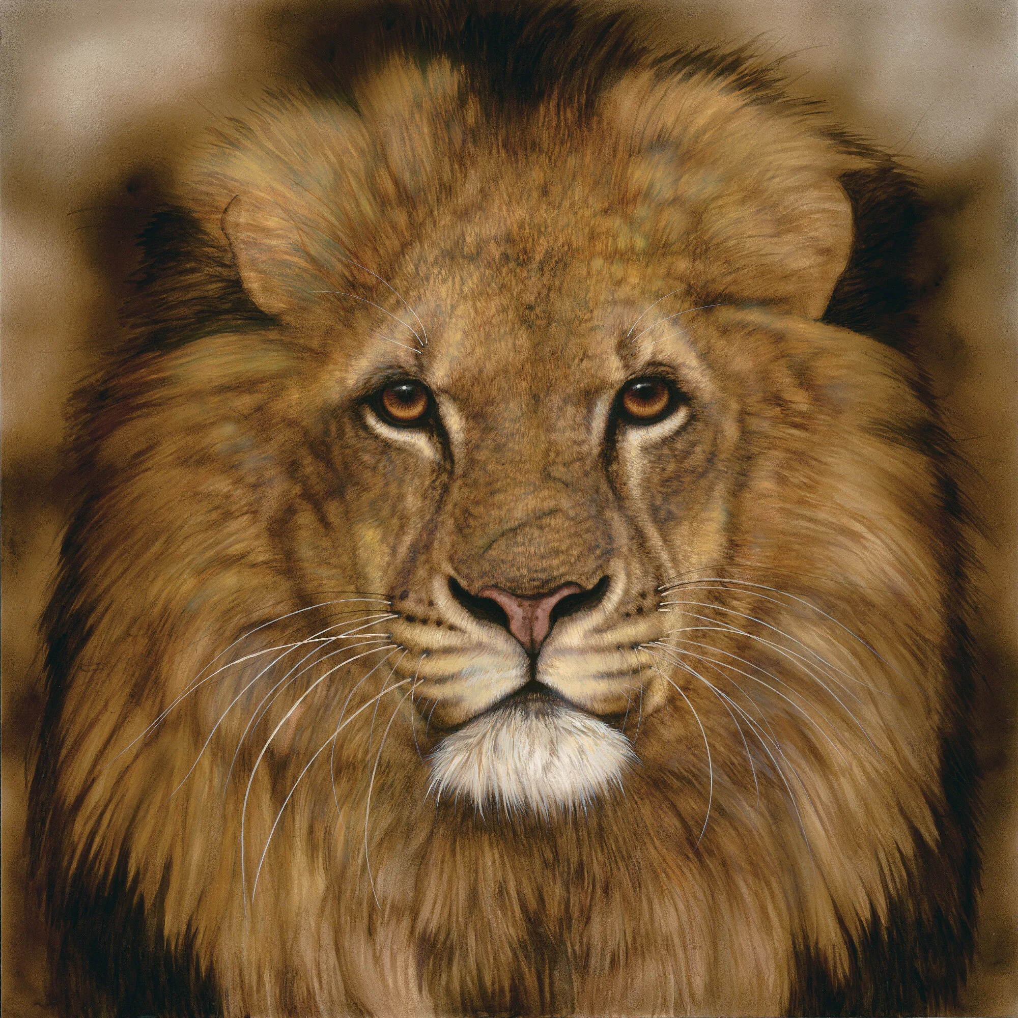 Lion Face -Comp2.jpg