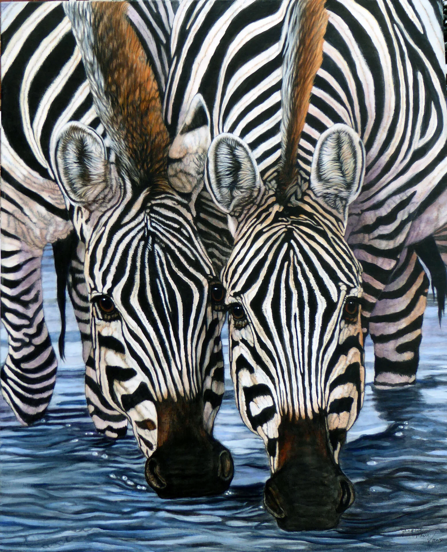 Zebras-River-2016-1920.jpg
