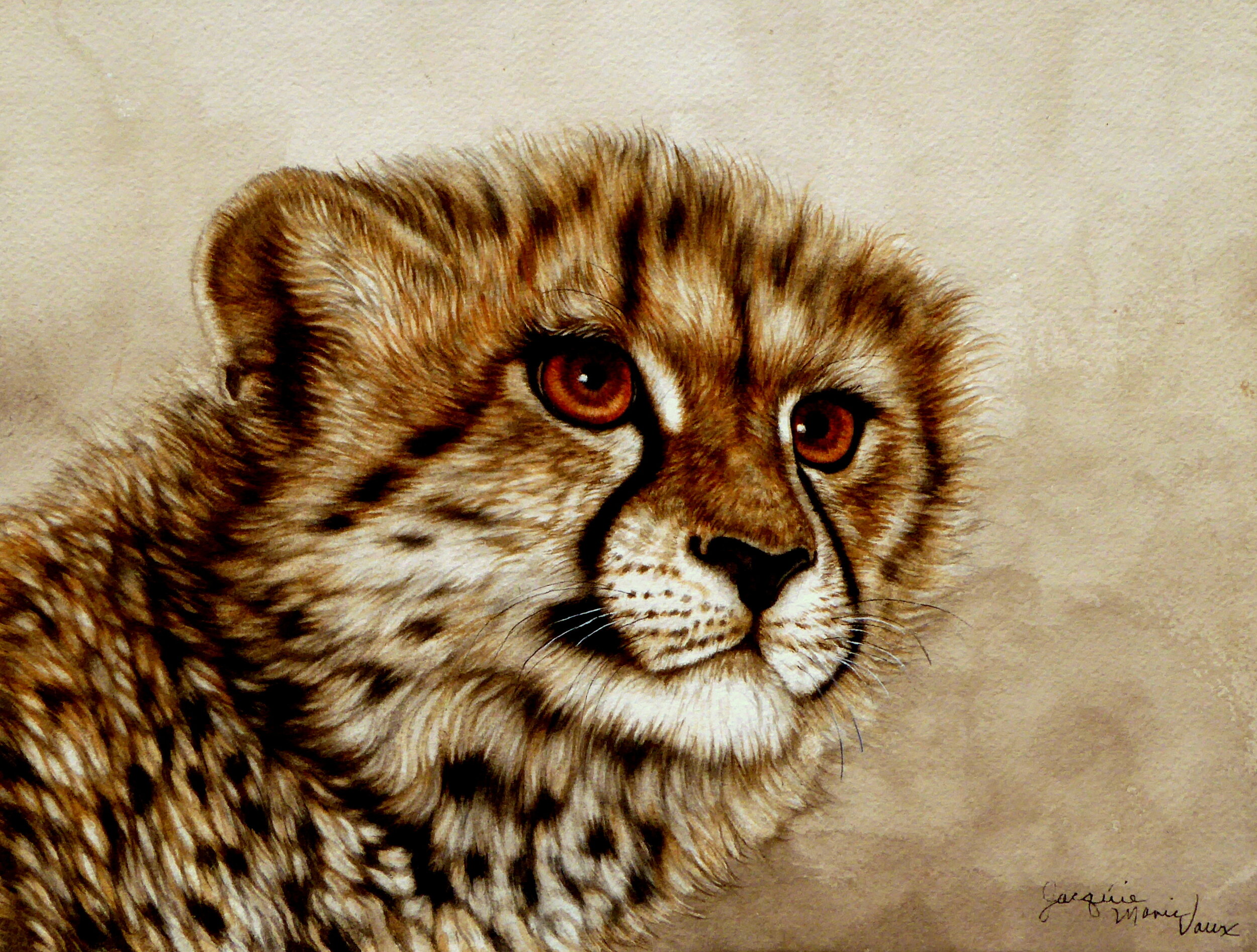 JMV Young-Cheetah-2019.JPG