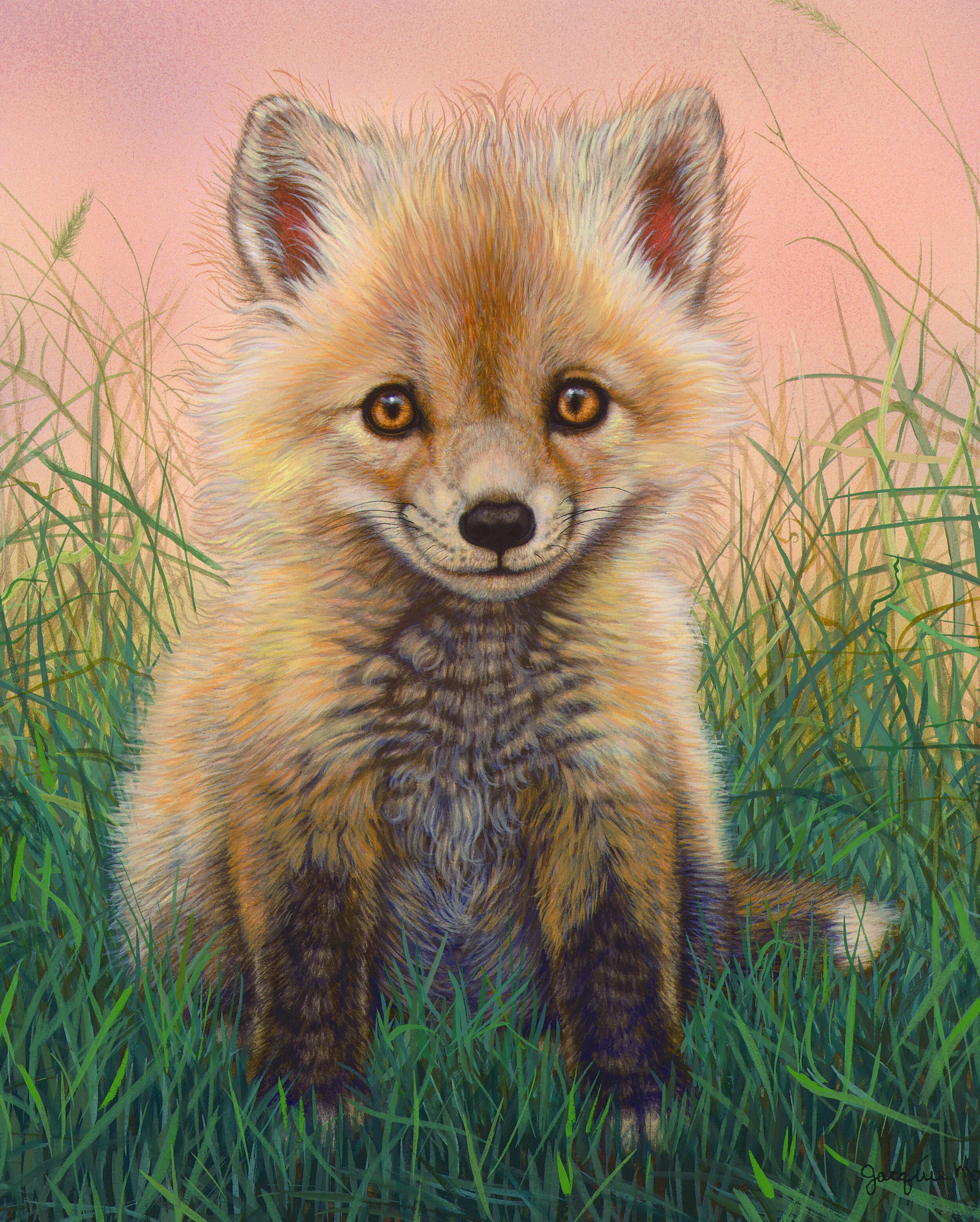 Bby-Red Fox-8x10.jpg