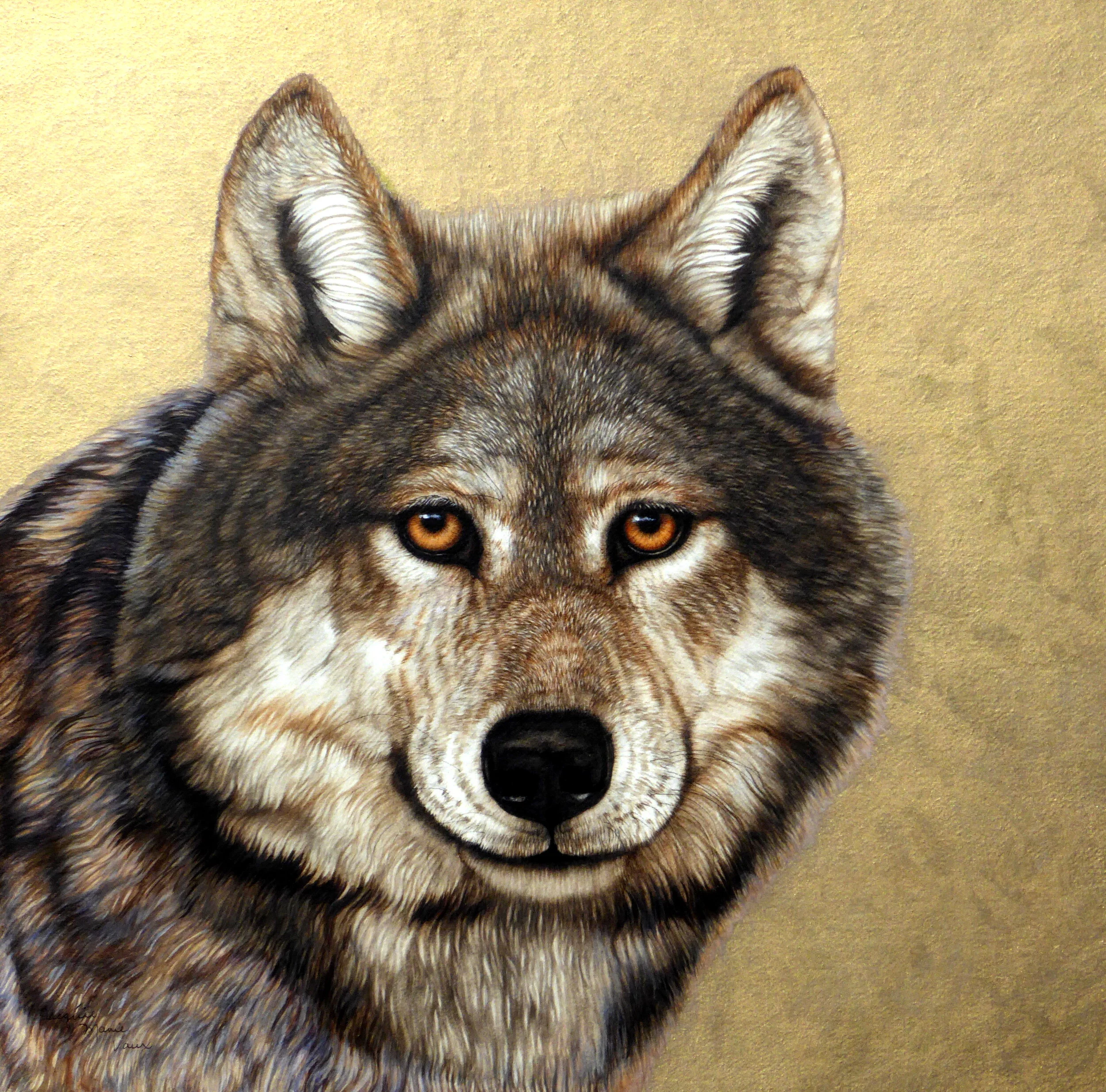 Wolf -Port New Backgnd-2020.JPG