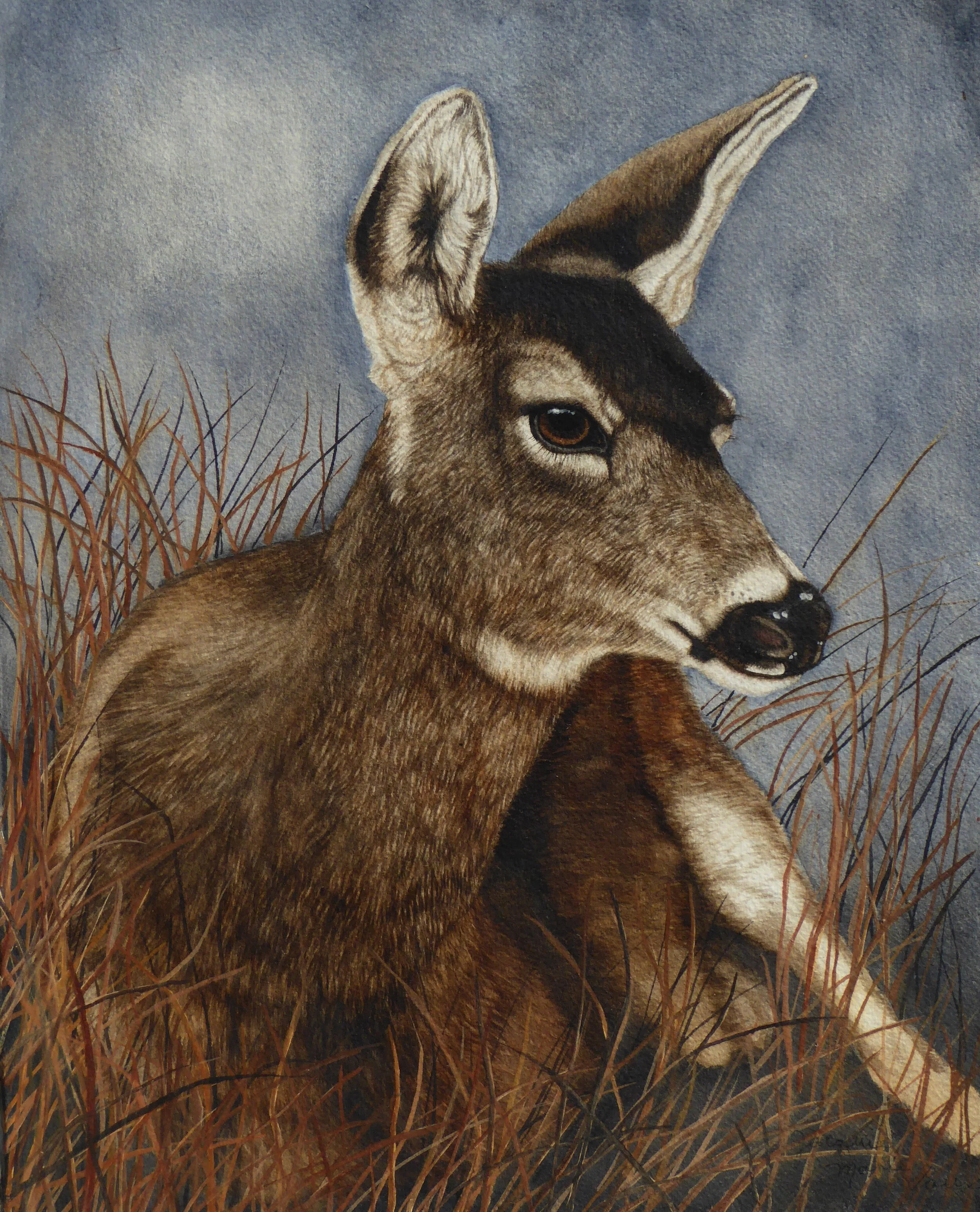 Deer in grass painting