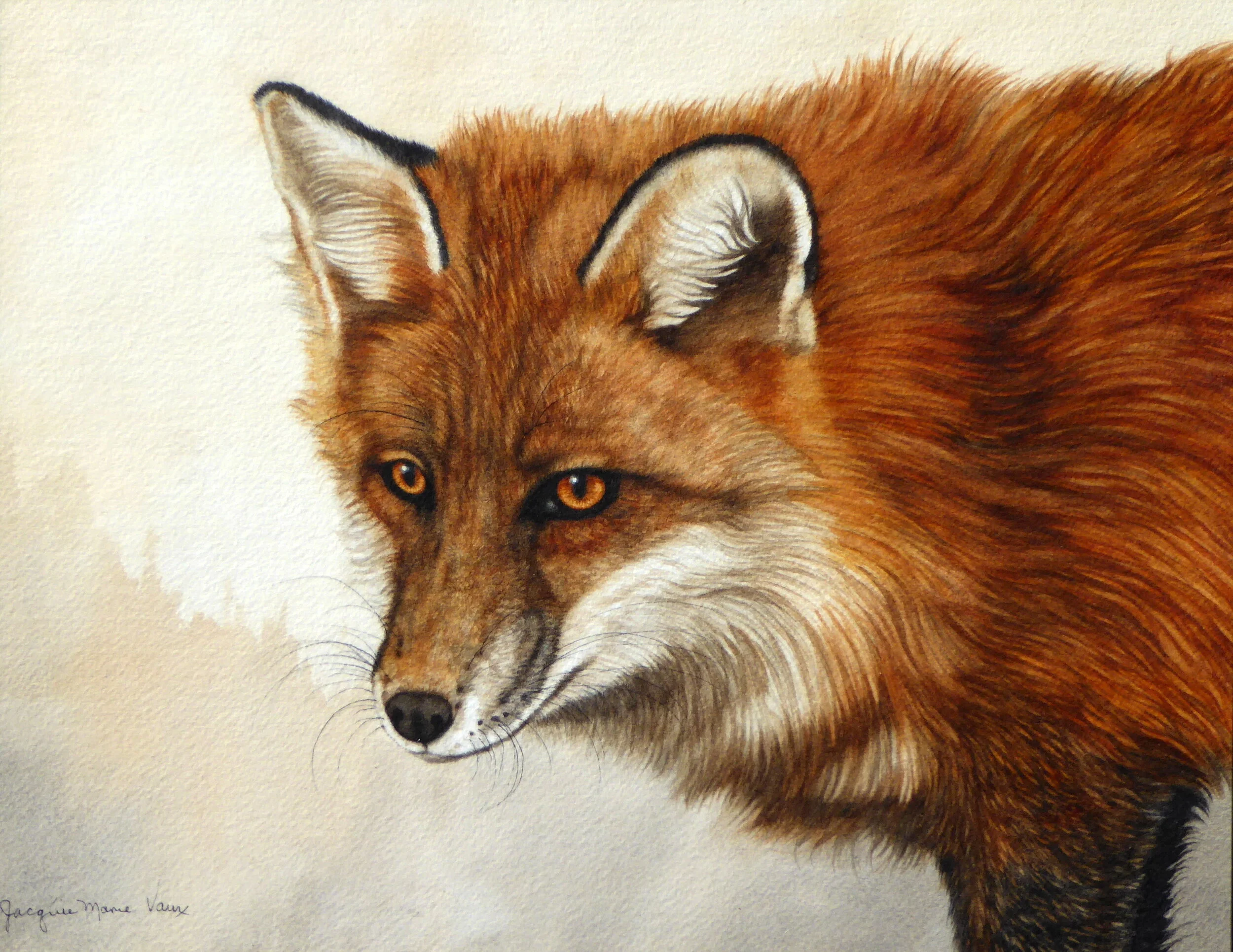 RedFox-Horiz-2018.jpg
