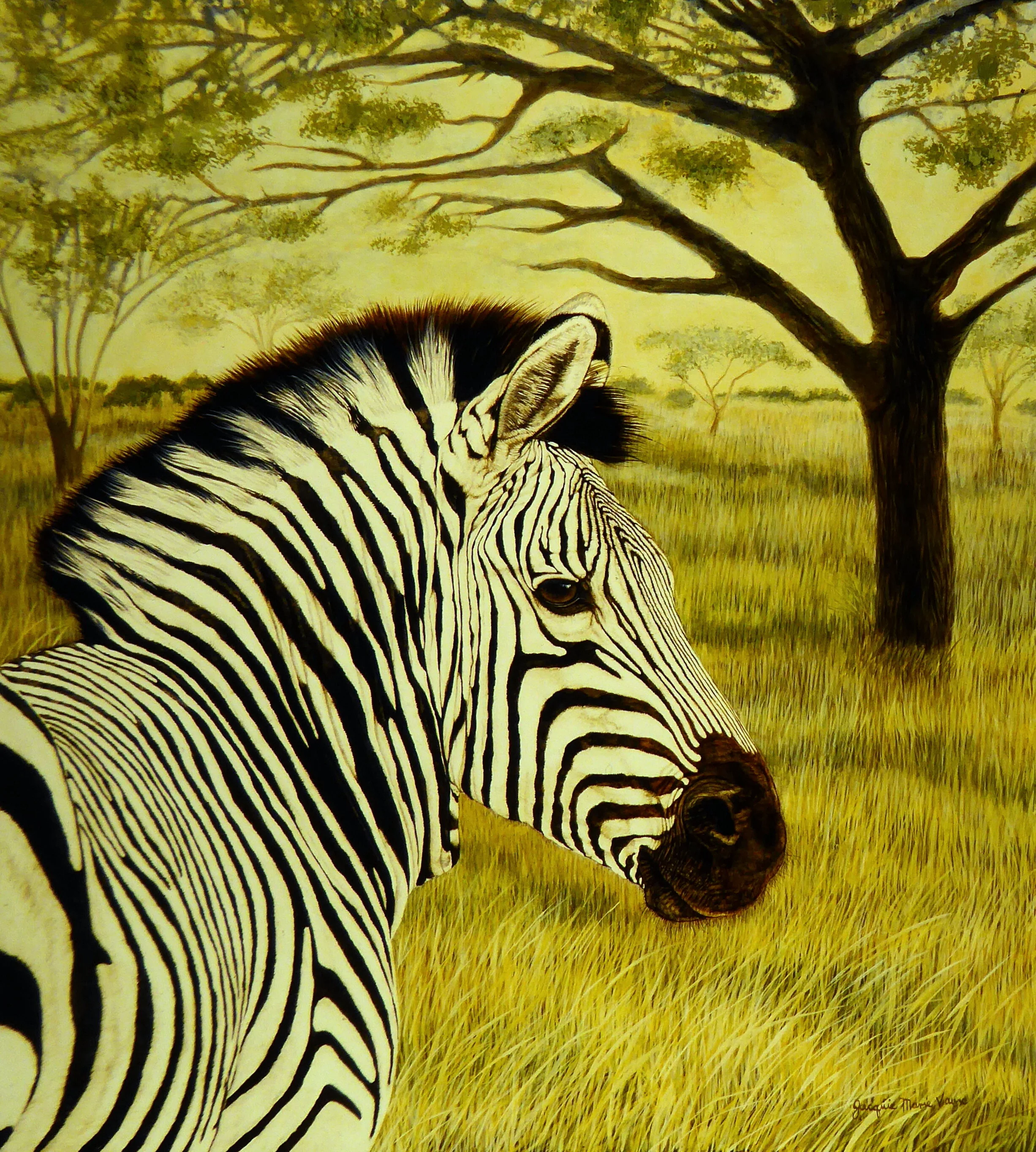 Zebra--Plains-Half.jpg