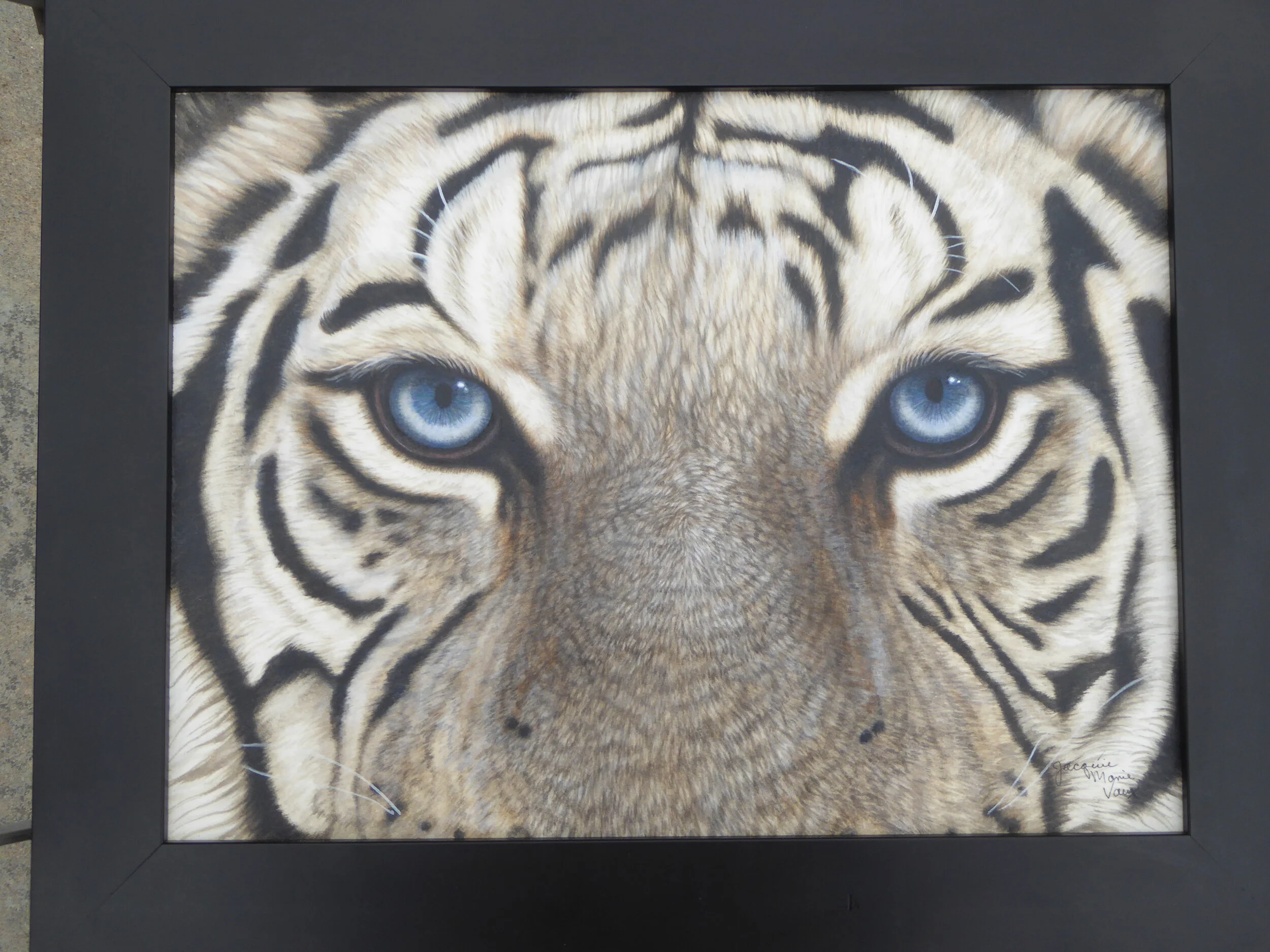 Eyes White Tiger.JPG
