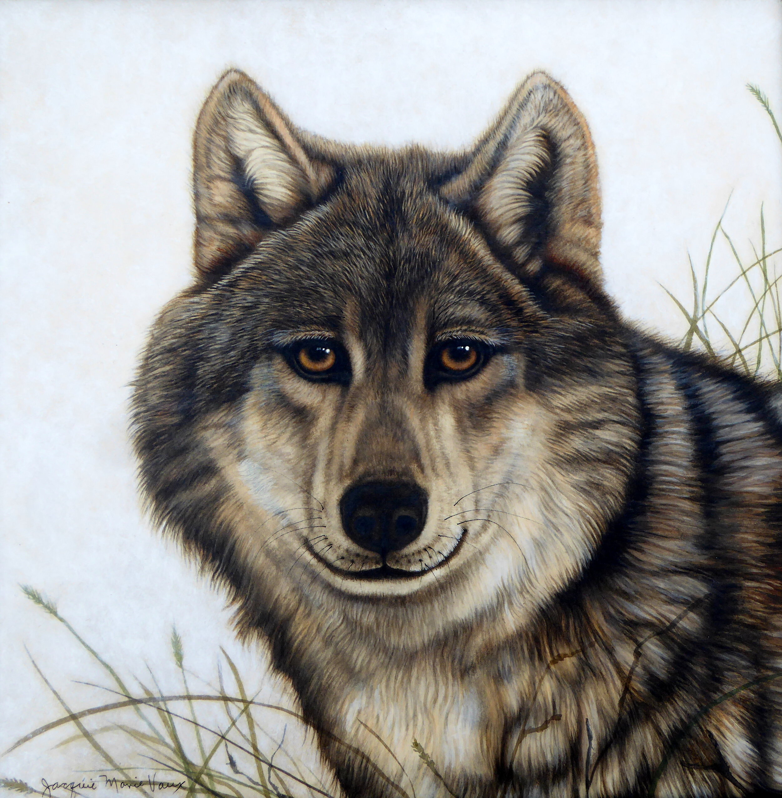 Wolf in Grass-1.JPG