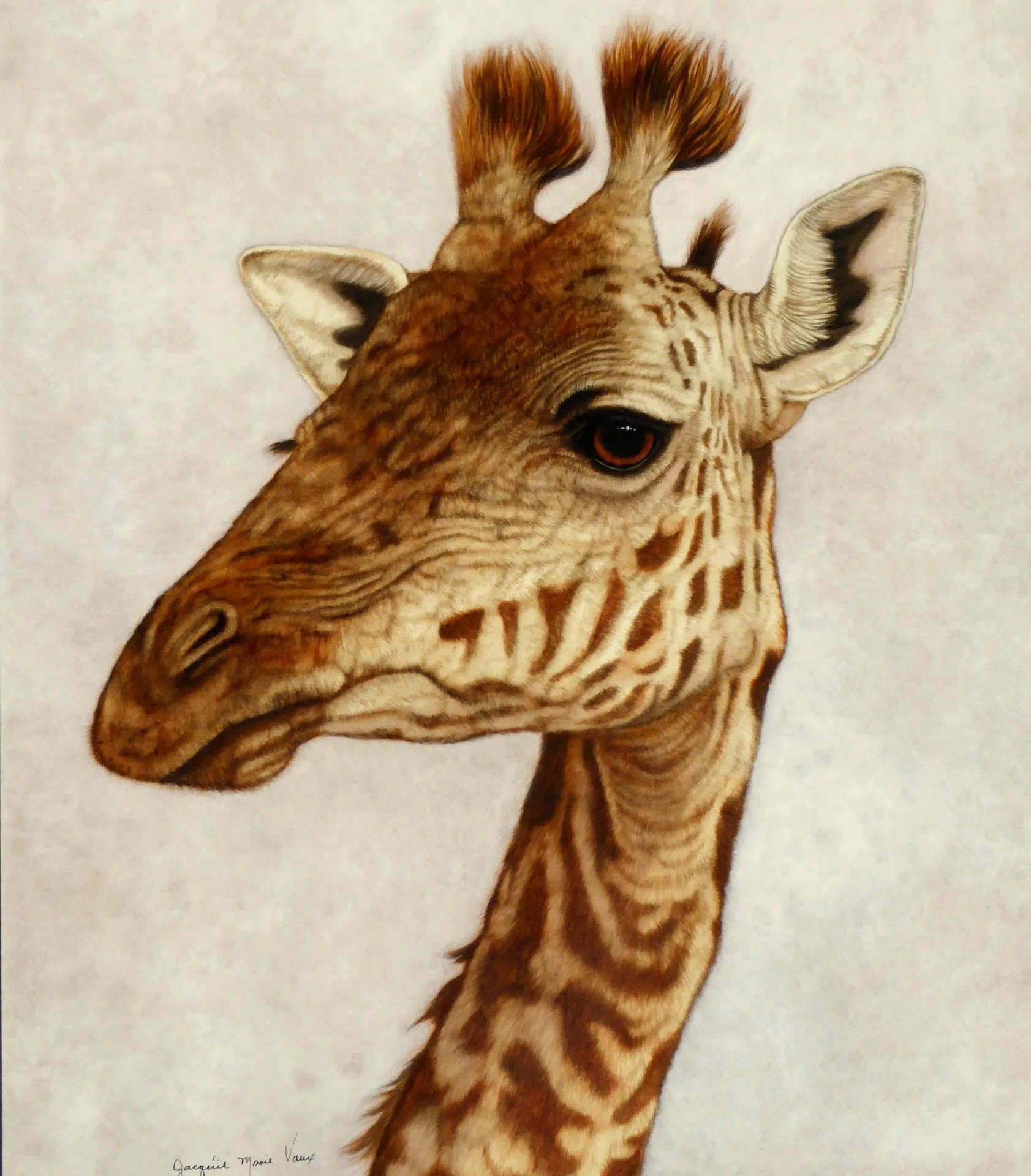 1-Girafe-Web.jpg