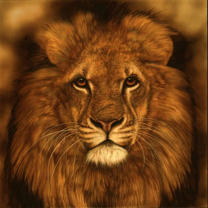 African-lion-Web-noFrame.jpg