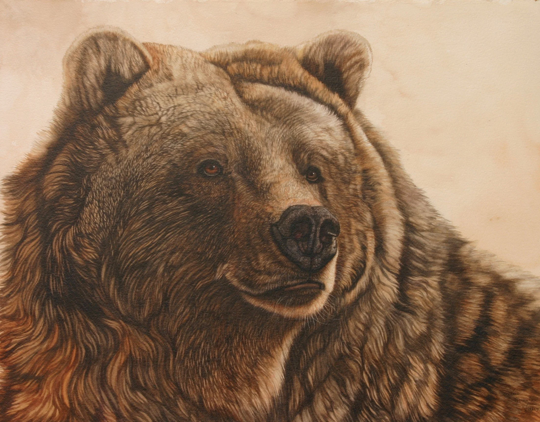 JMV Grizzly 2.jpg