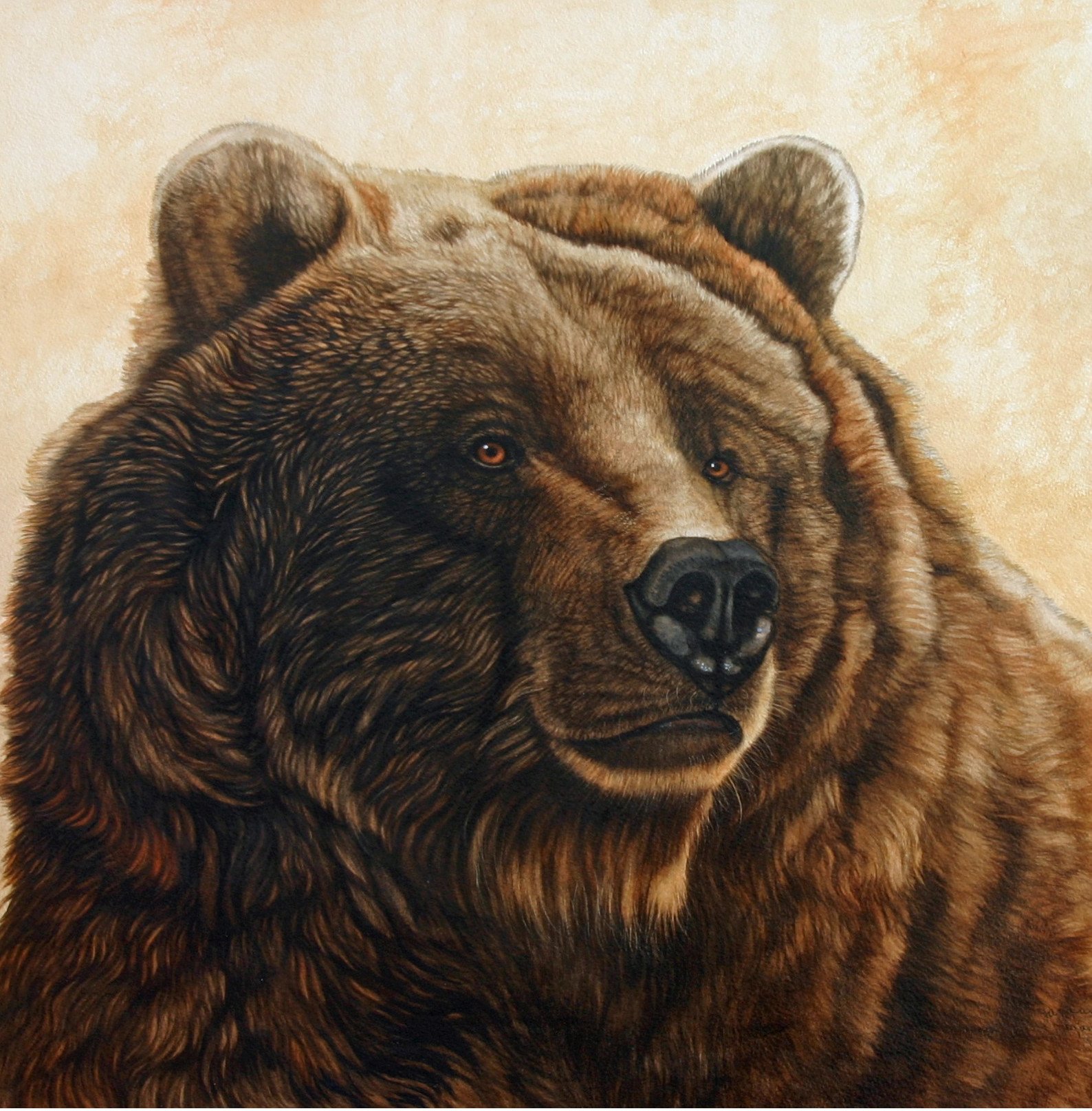 Grizzly99B.jpg