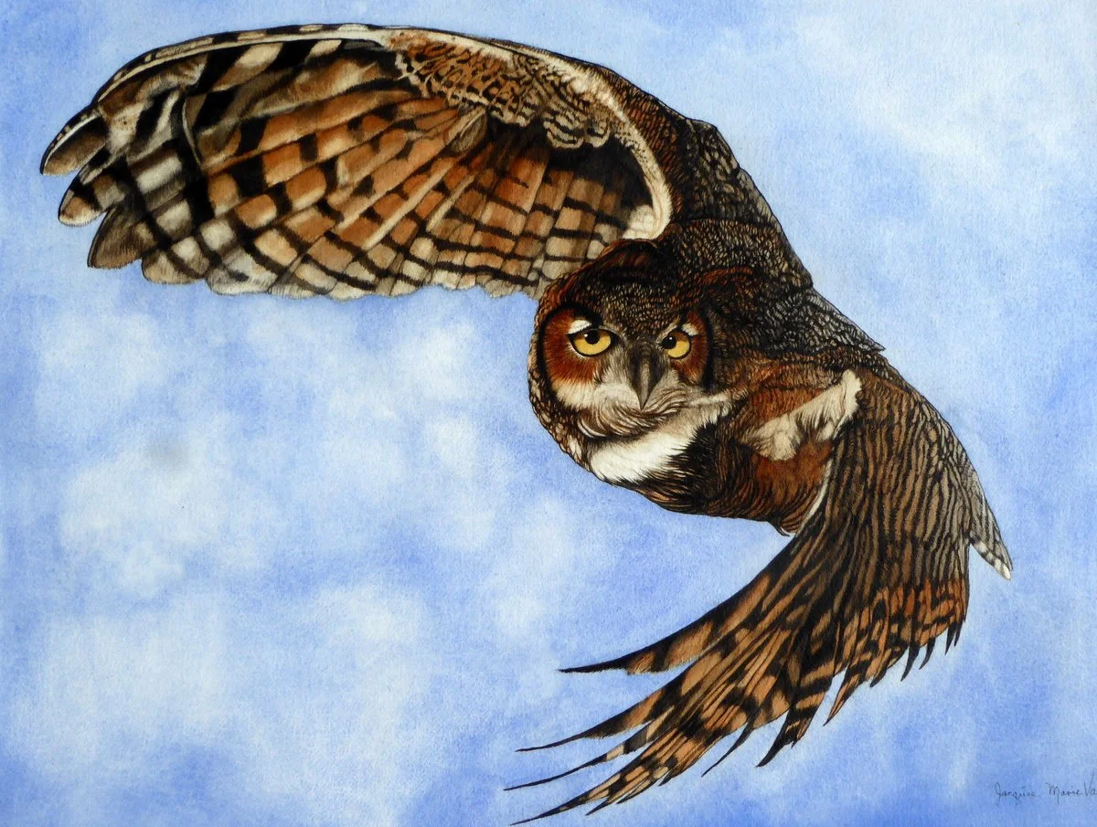 GH Owl-in-Flight.JPG