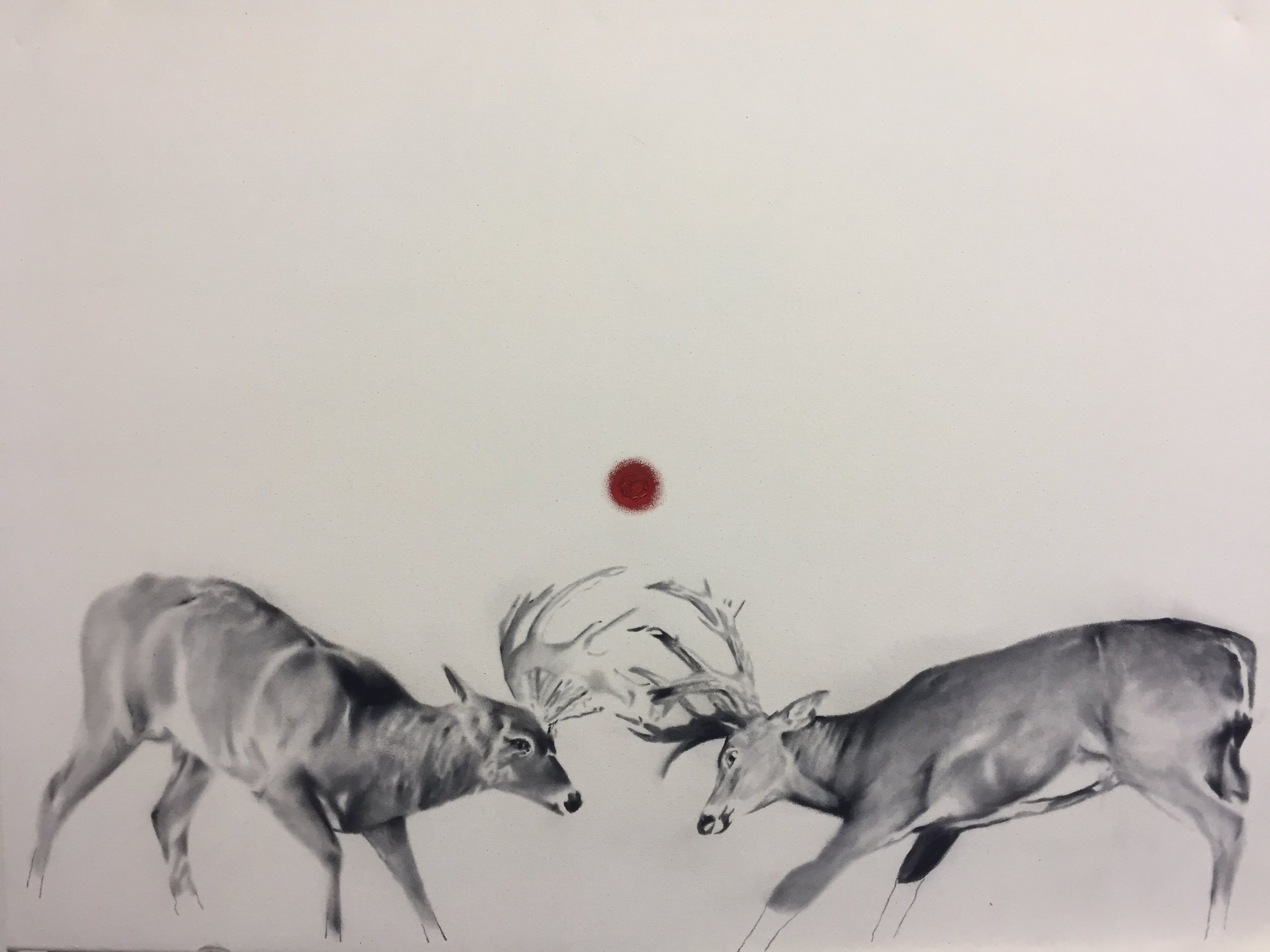   Study for whitetails , 2015.&nbsp;Huile et fusain sur toile. 2015. 36 x 48 pouces.&nbsp; 