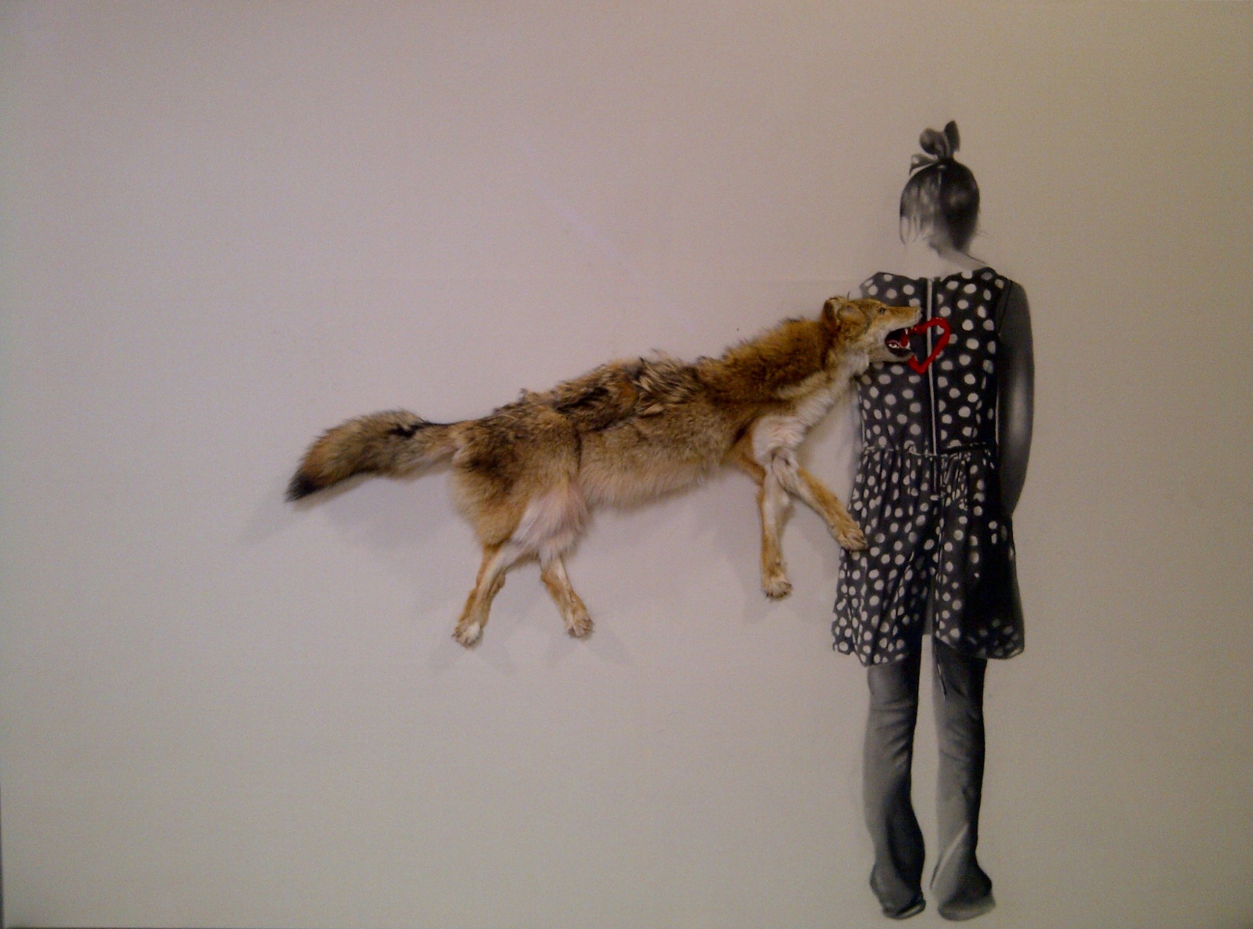   Roadkill coyote , 2010. Huile, fusain et coyote sur toile. 78 x 108 pouces.&nbsp; 