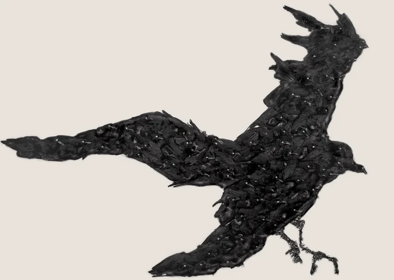 Astral death , 2008. 