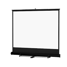 $100 10’ Cradle Screen