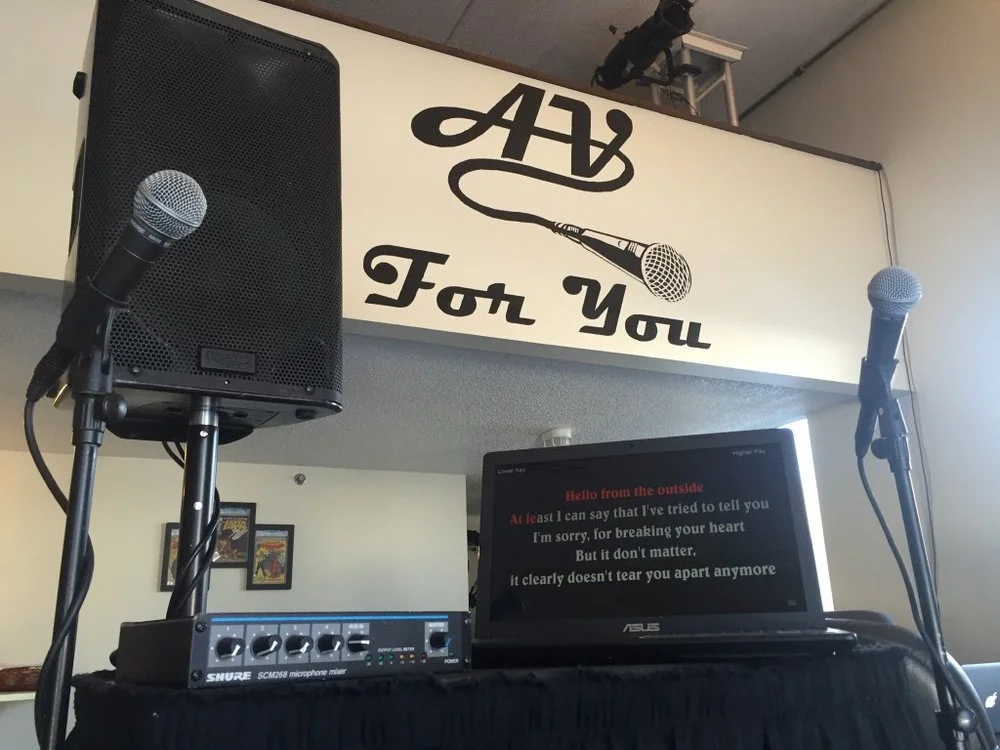 $75 DIY Karaoke Package; 1 Speaker, 1 Mixer, 2 Wired Microphones