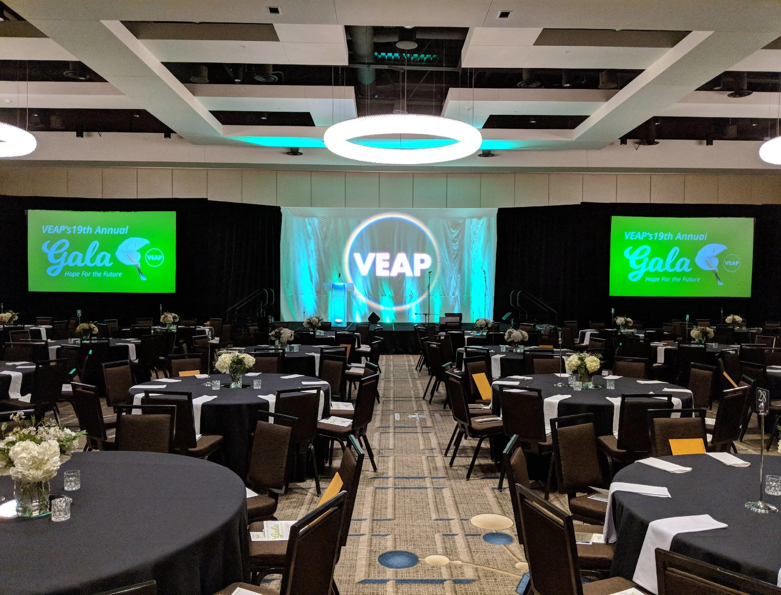 19th Annual VEAP Gala at the JW Marriott