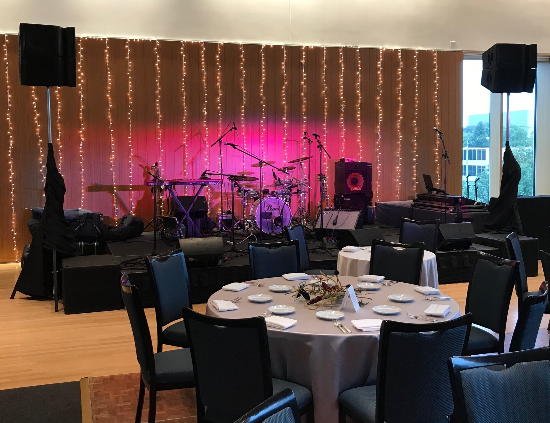 Sound and Lights for Wedding at American Swedish Institute