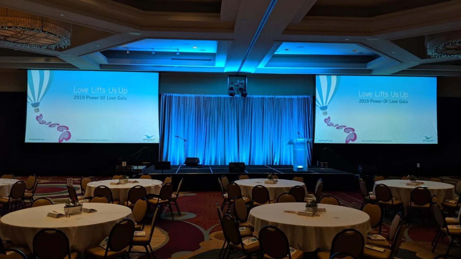 Power of Love Gala at the Minneapolis Marriott NW