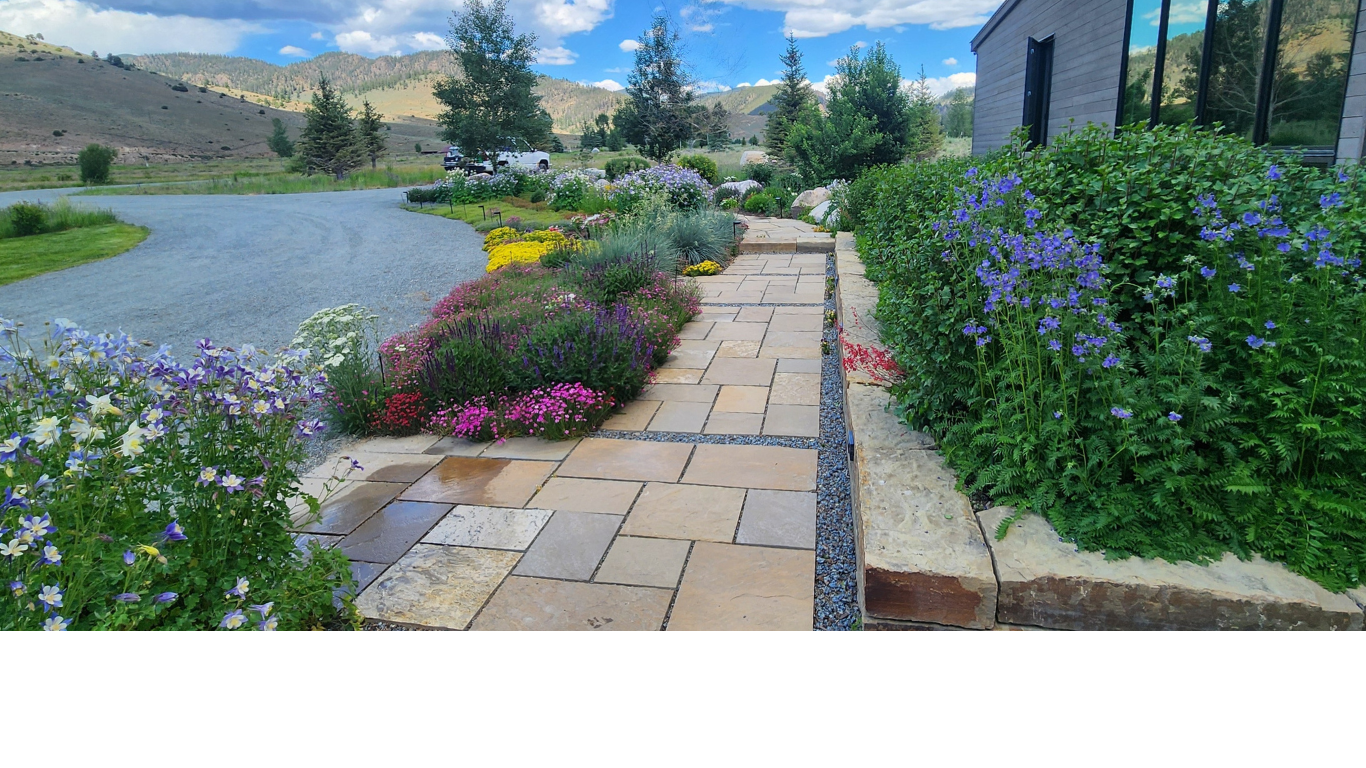 Wheeler 2 No Tree.png