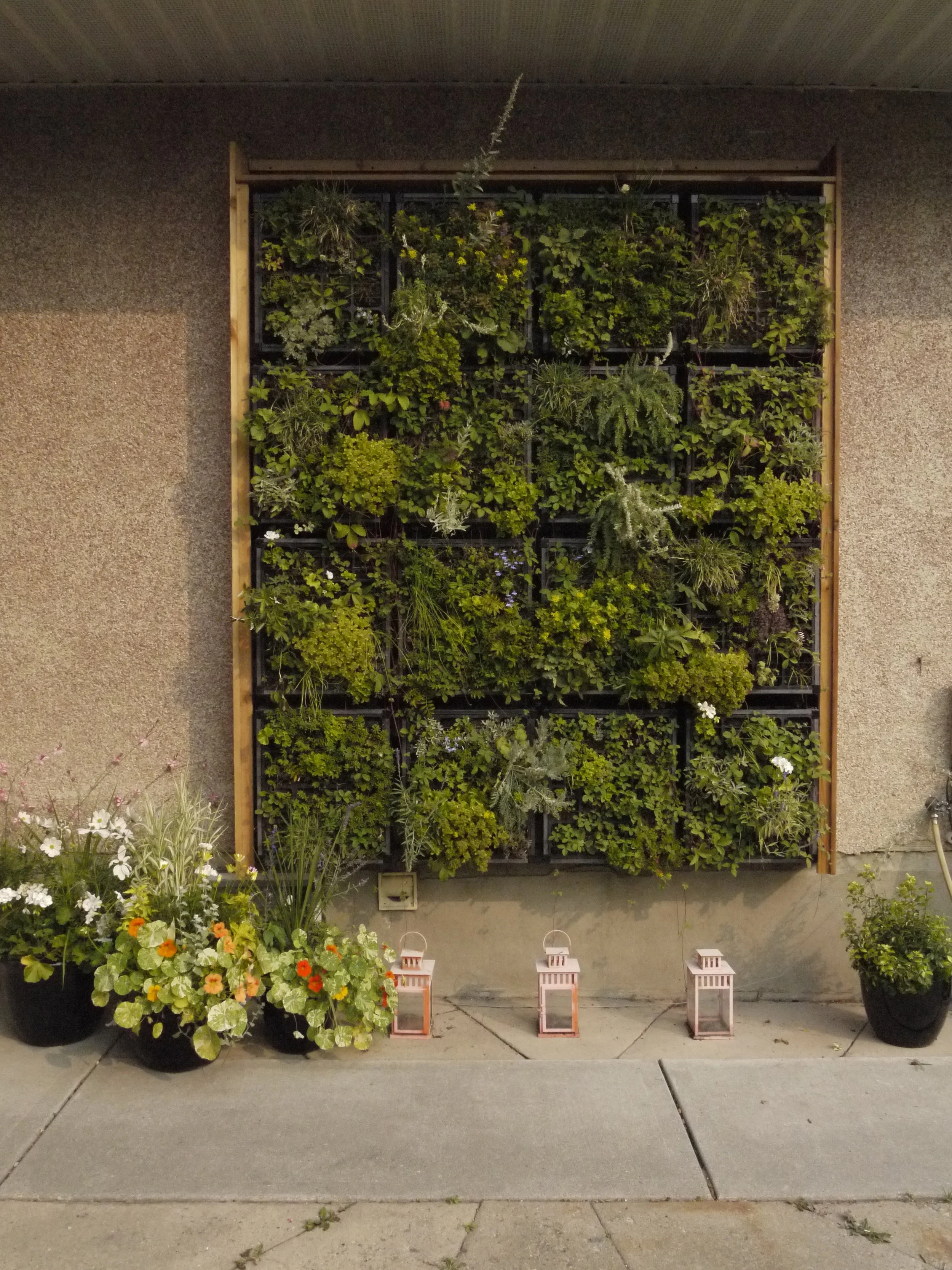 Living Wall