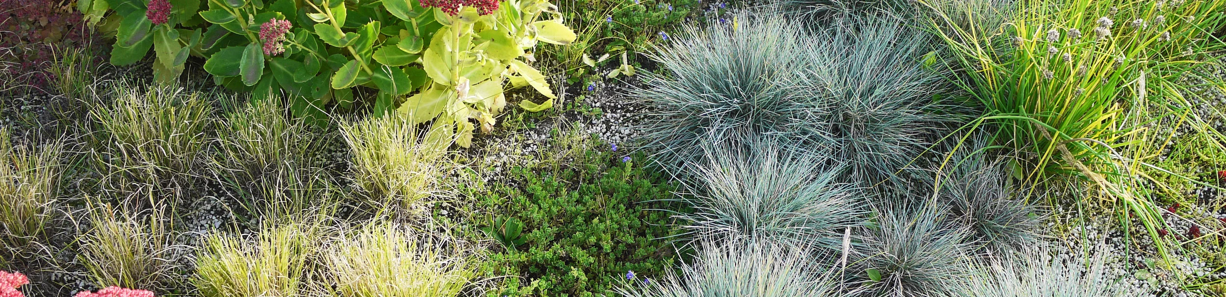 10-Stettler-11-P1120844 copy.JPG