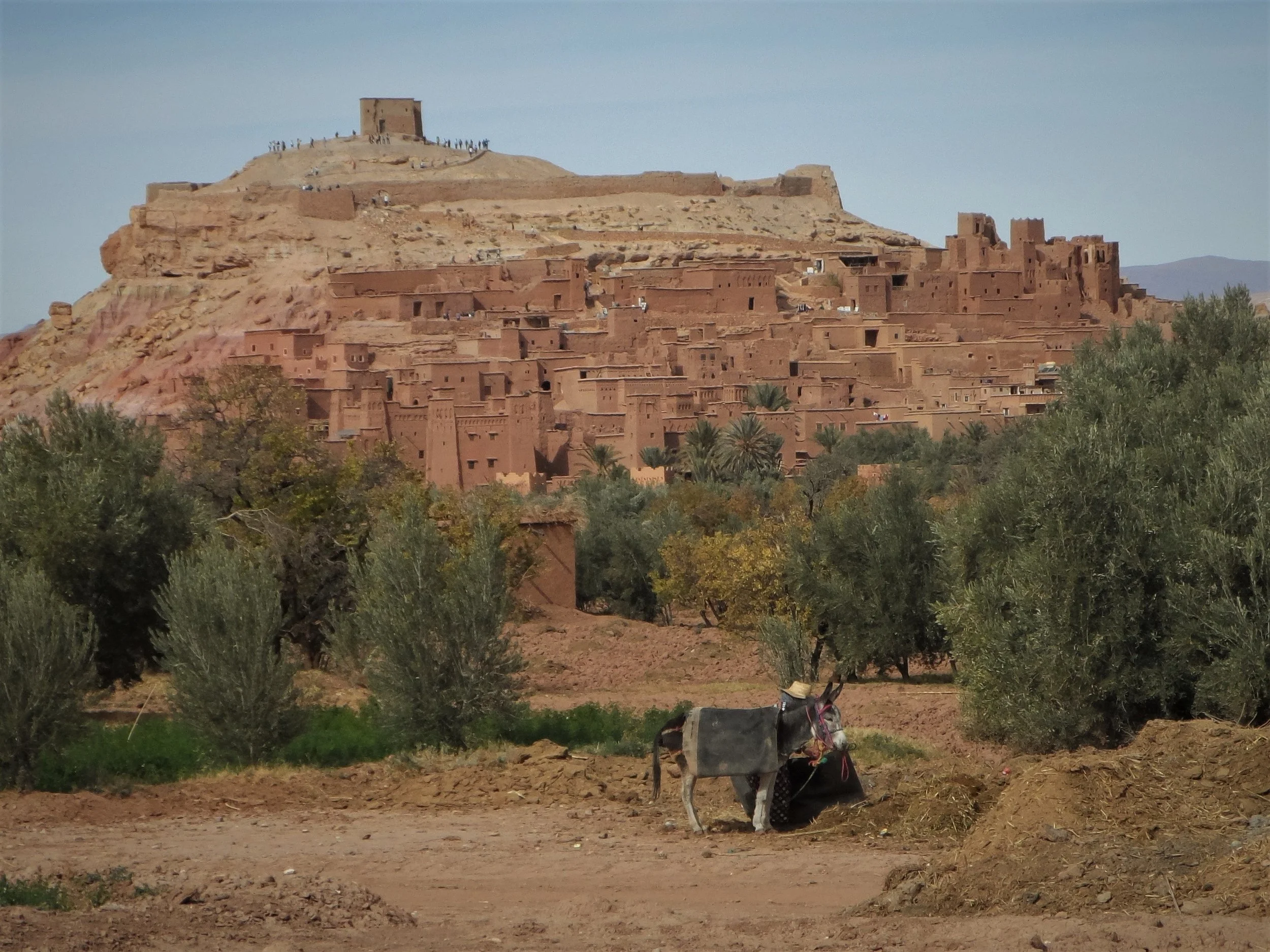 The Great Moroccan Goodbye Tour, Part 3: Ait Benhaddou and the Dades Gorge