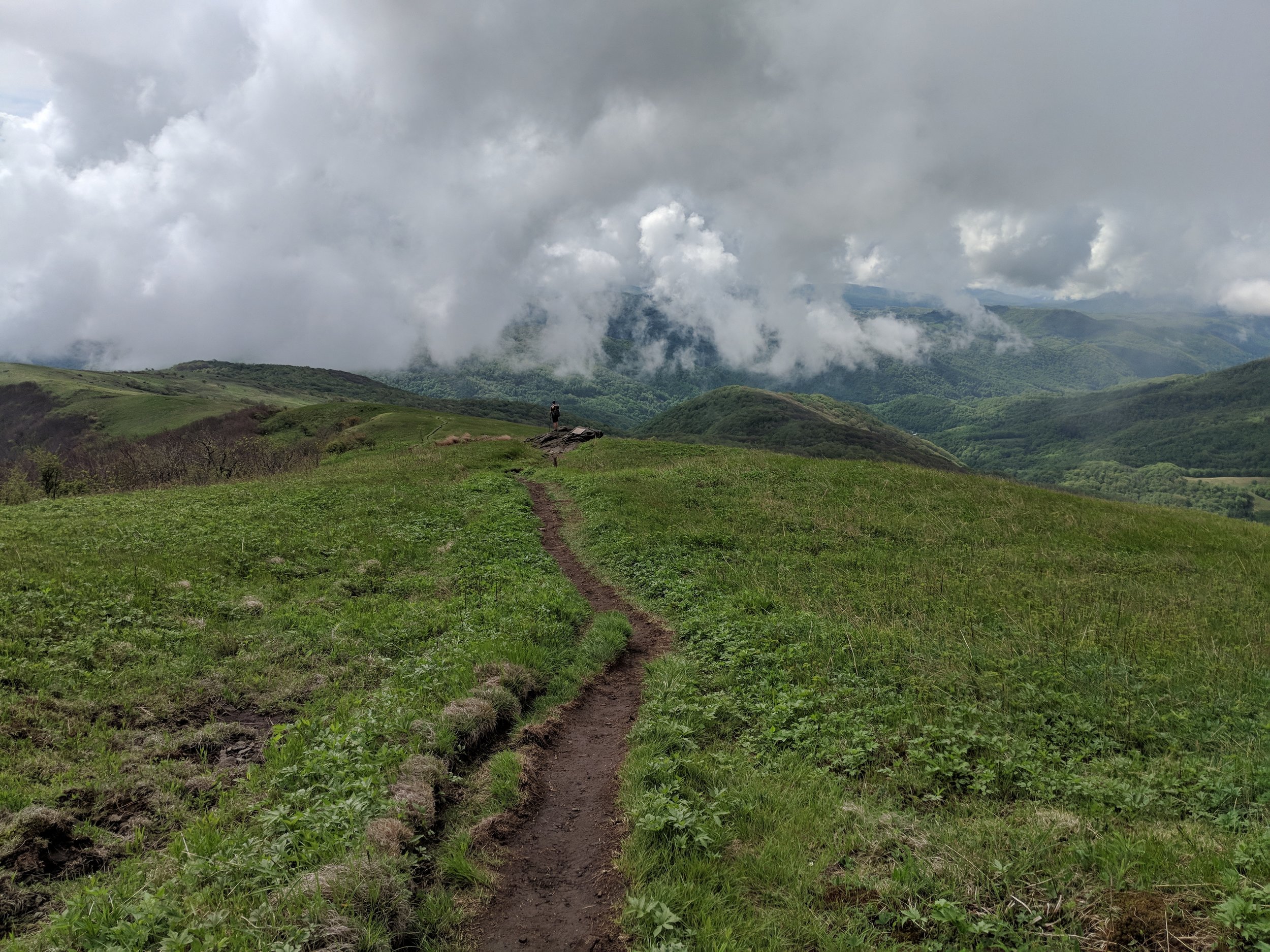 IMG_20180517_101826.jpg