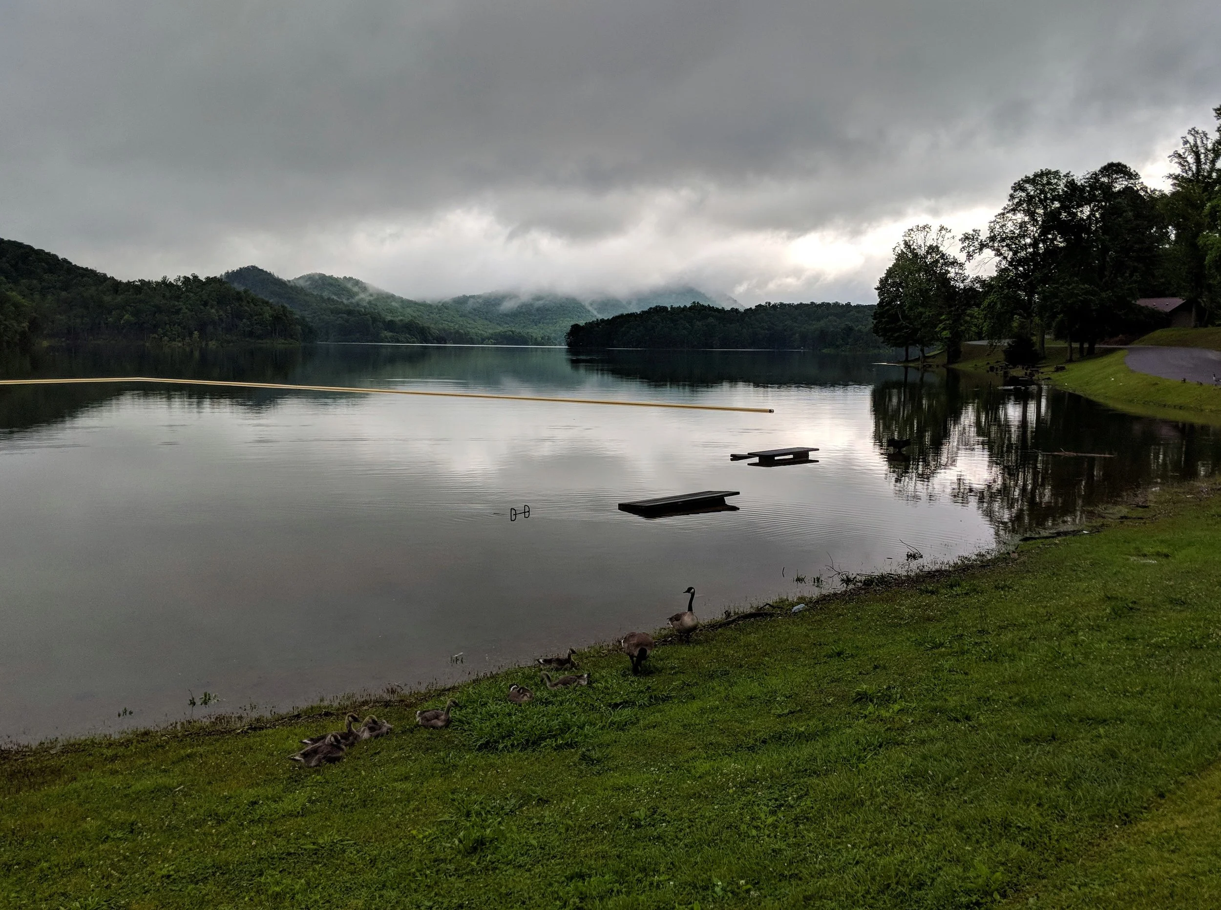 IMG_20180523_081534.jpg
