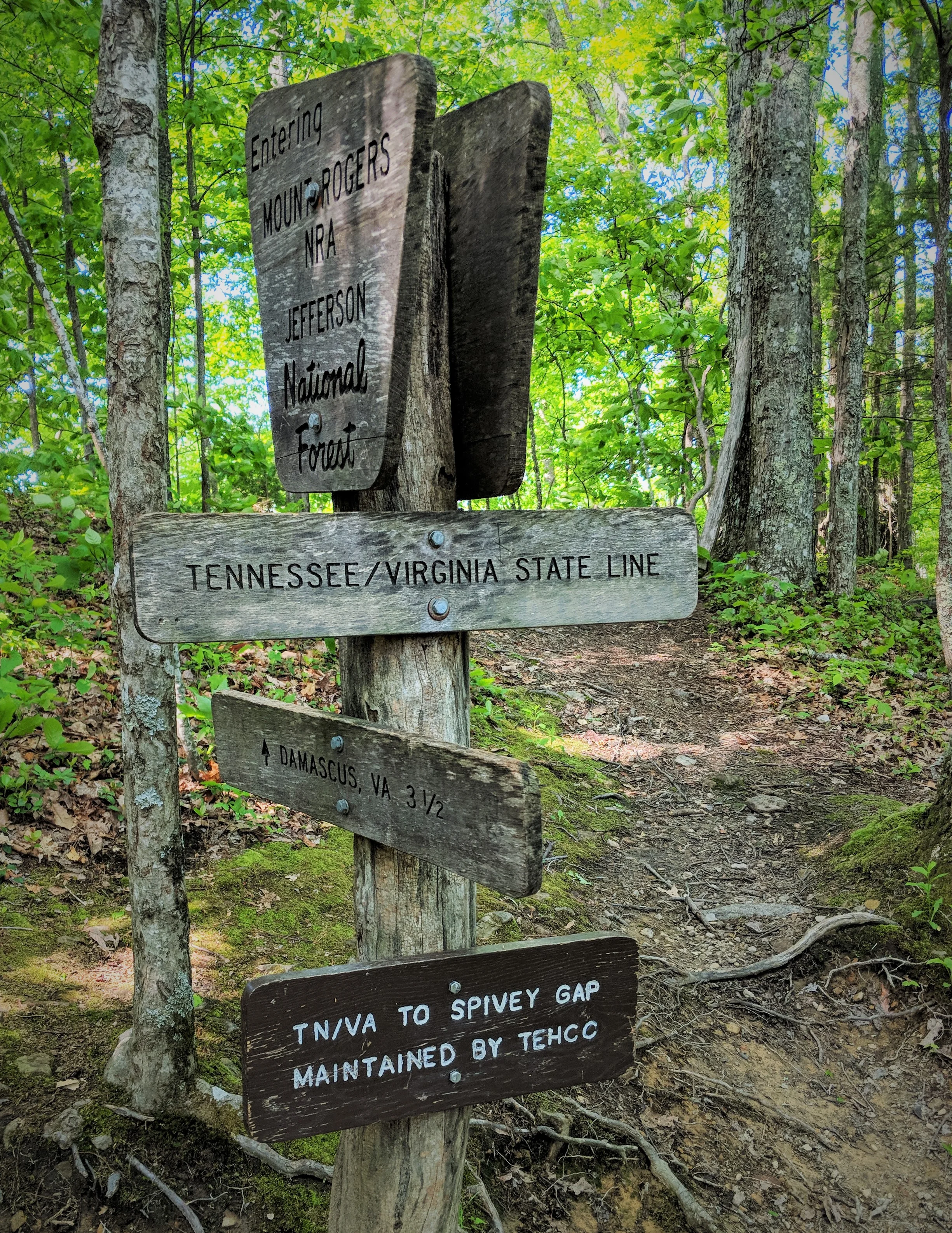IMG_20180524_162524.jpg