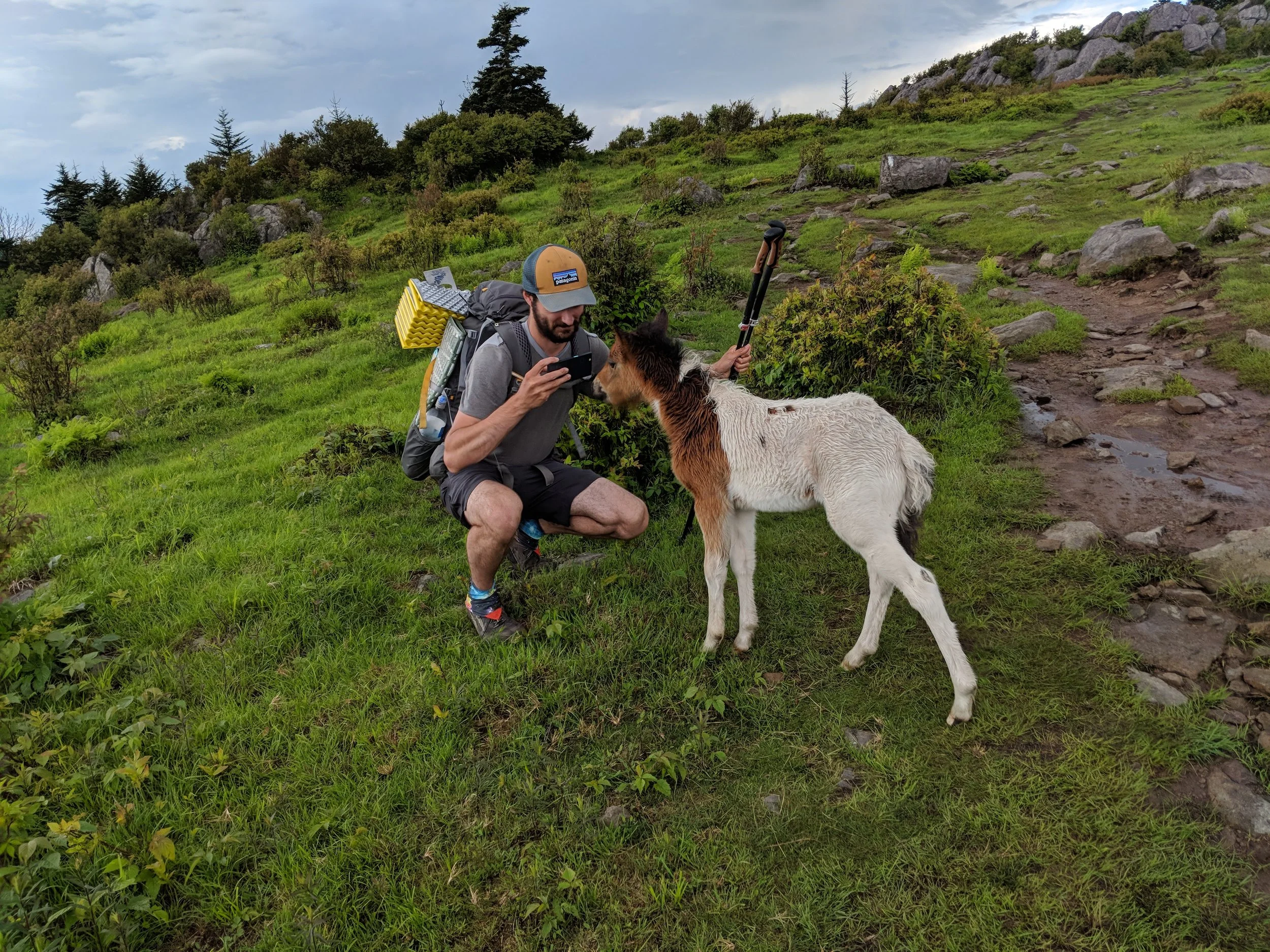 IMG_20180527_170948.jpg