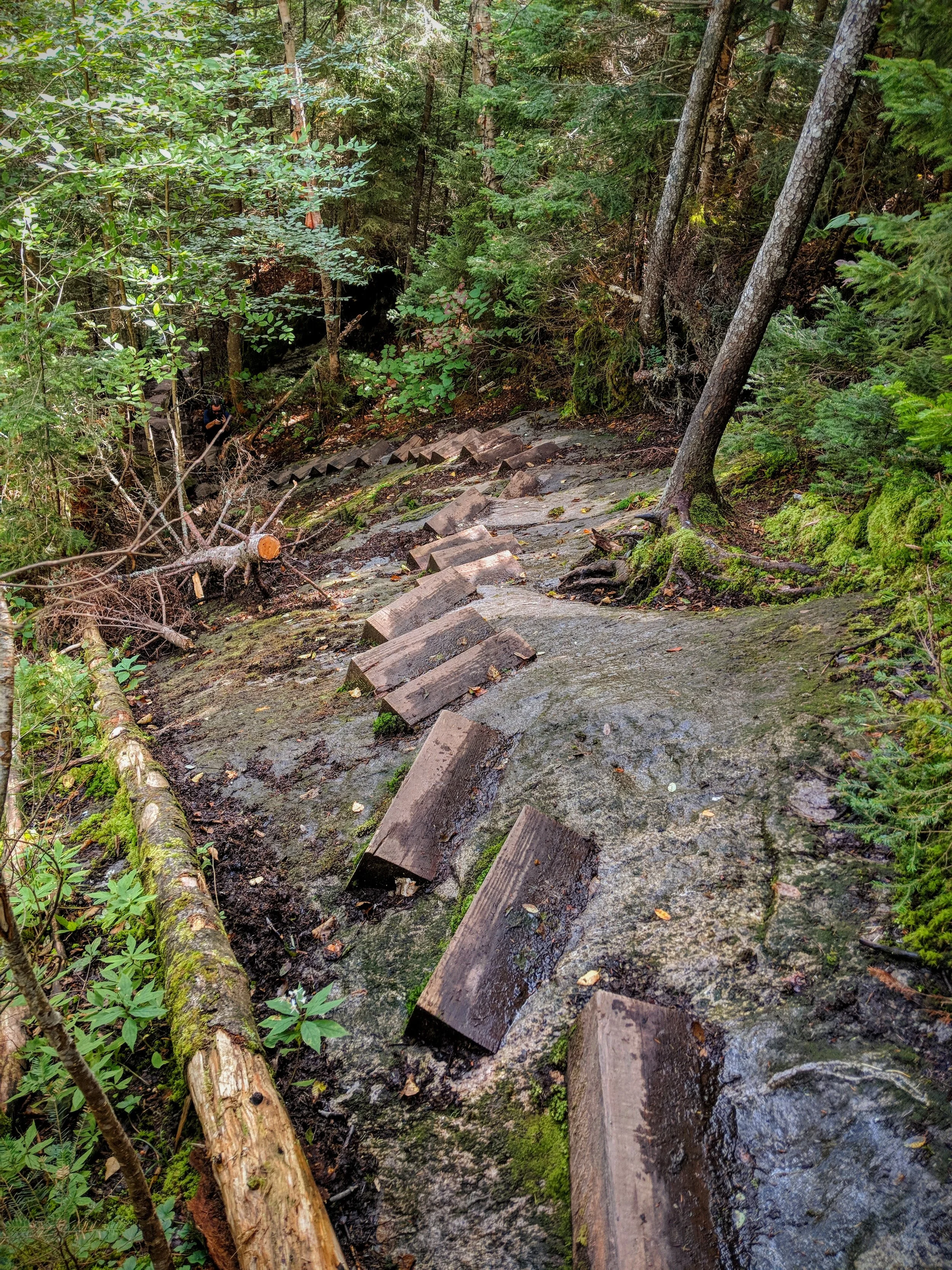 Looking back down a steep portion of the Beaver Brook Trail (see man in black t-shirt and cap for scale)