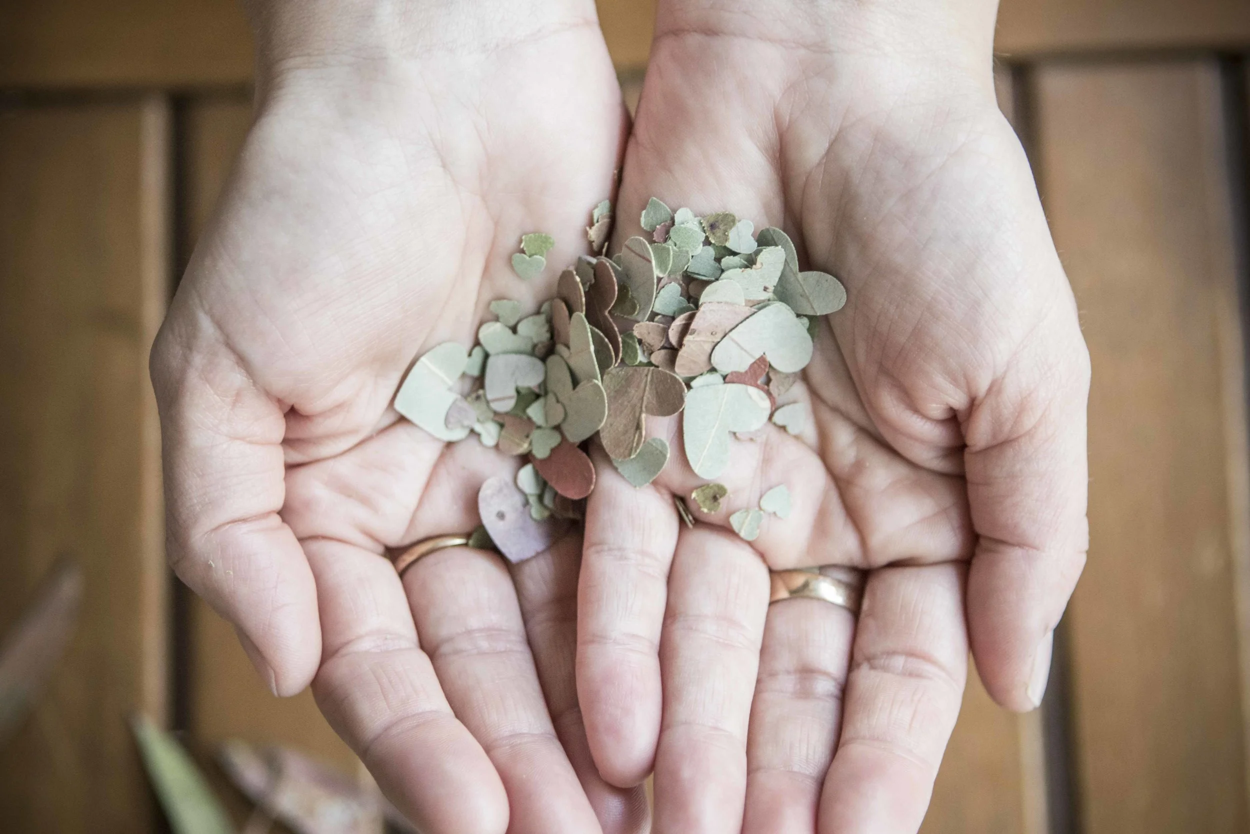 BLUE MOUNTAINS LOCALS - BLUE MOUNTAINS ECO CONFETTI, Winmalee