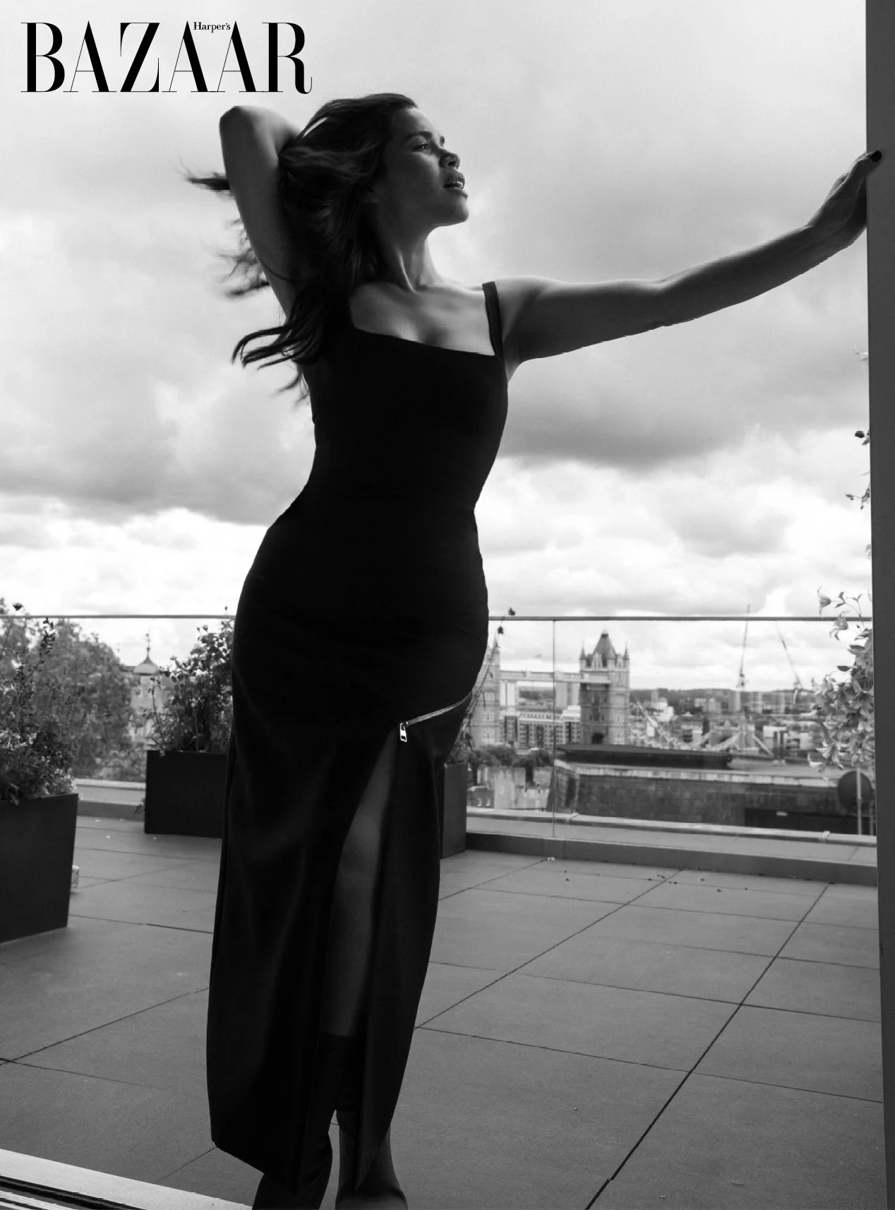 BAZAAR ASSETS TEMPLATE13.jpg