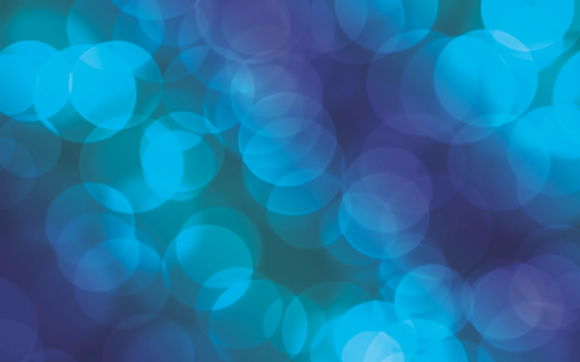 Alumni Spotlight: Sherry Williams, LT'08, Deputy Director at TAF