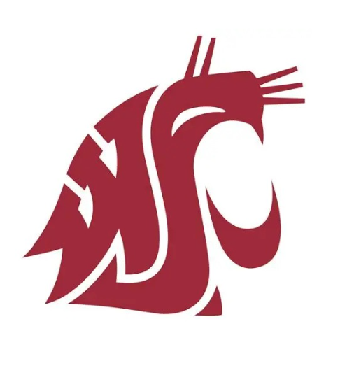 WSU screenshot.png