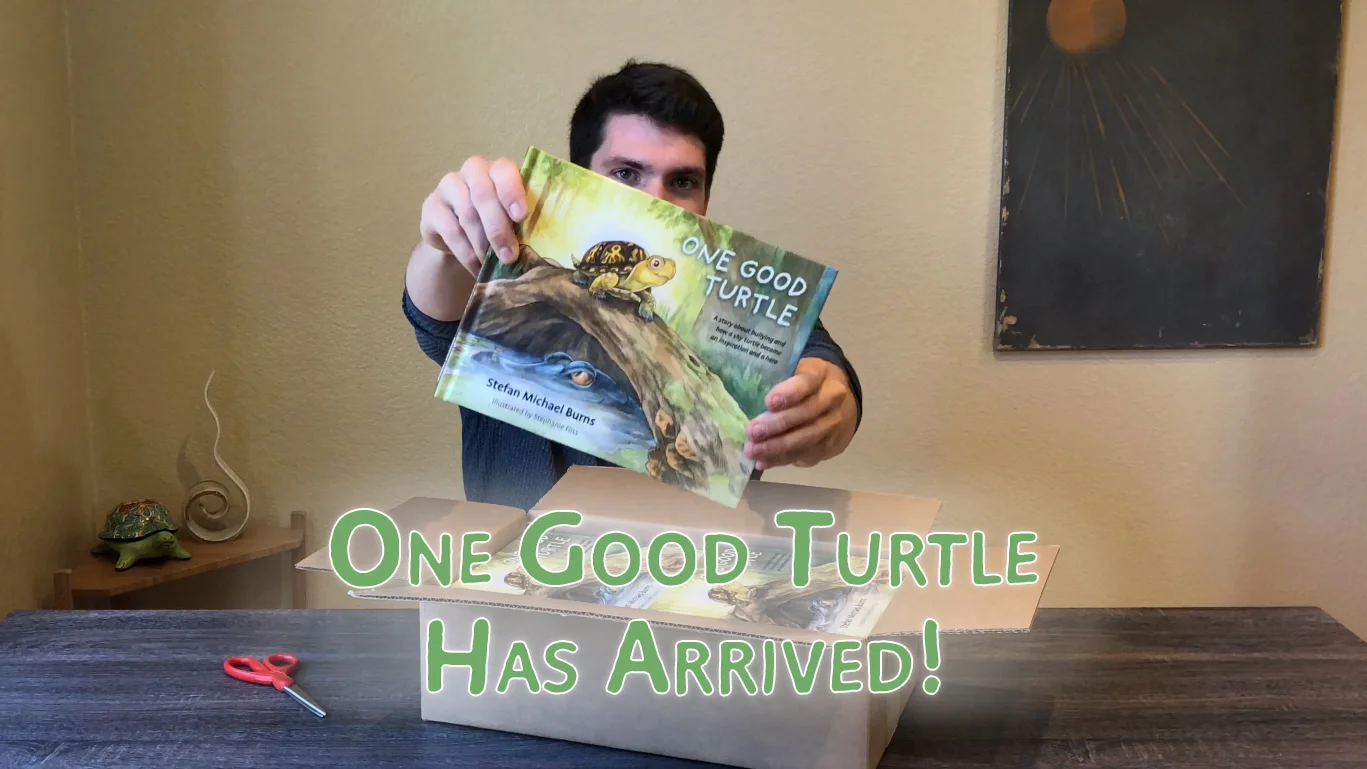 I Wrote a Children's Book! One Good Turtle is Available Now!