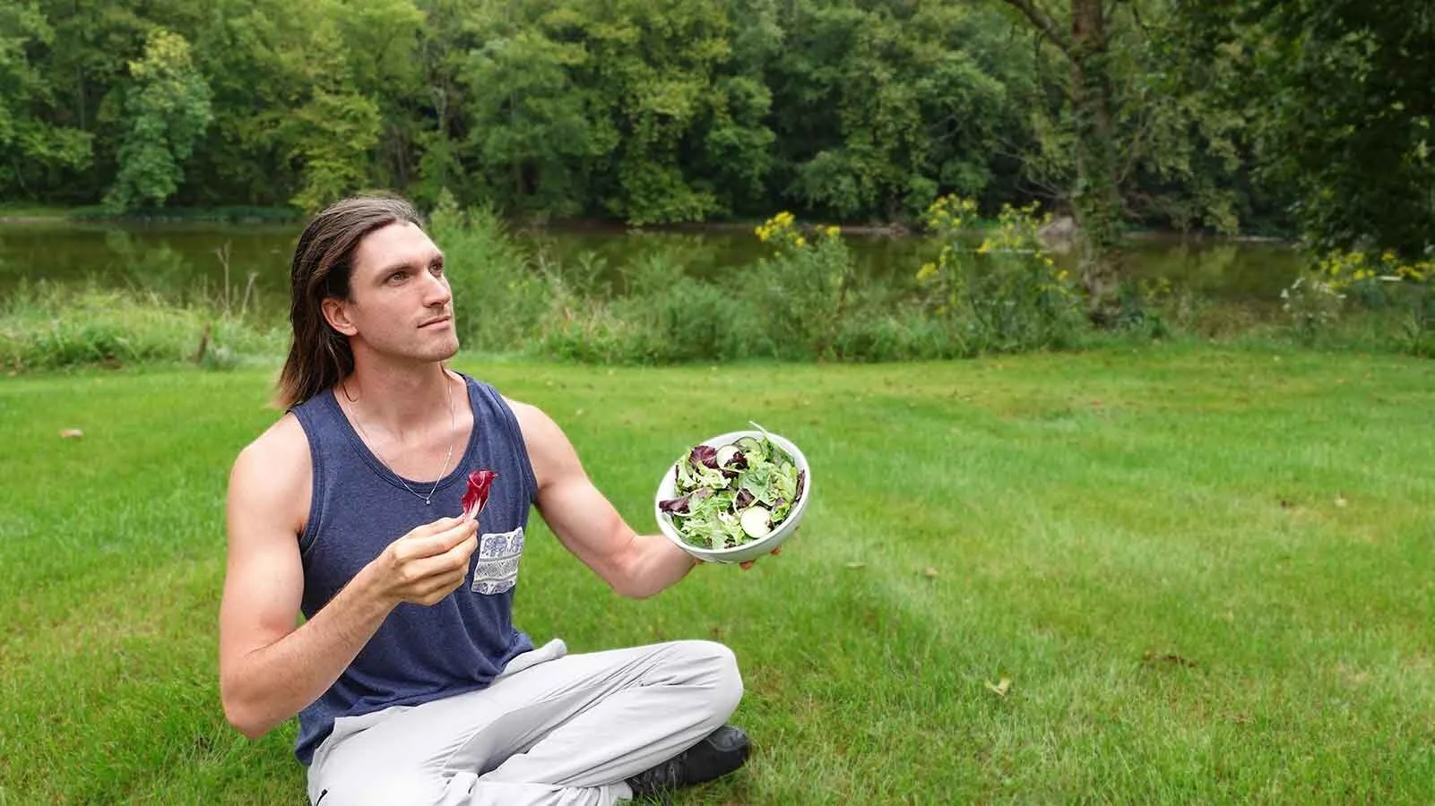 Wild Free Organic REDESIGN + Updates!