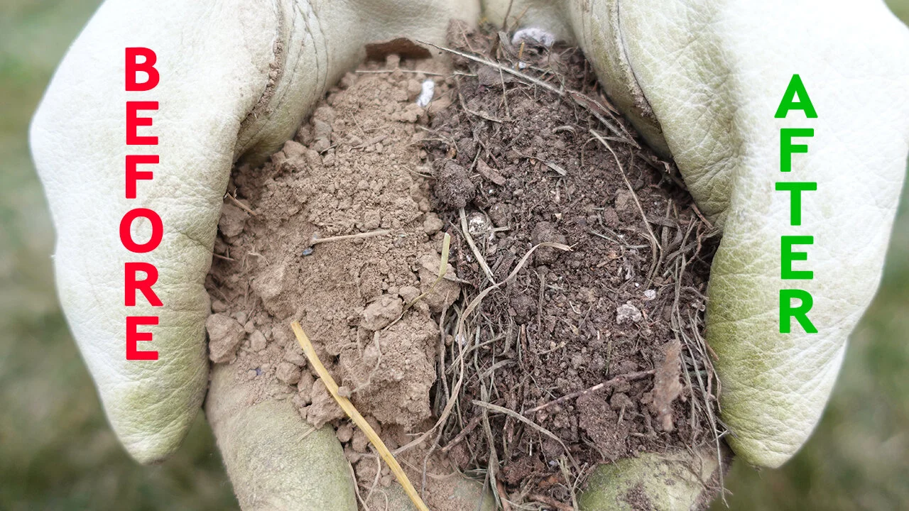 Create Living Soil