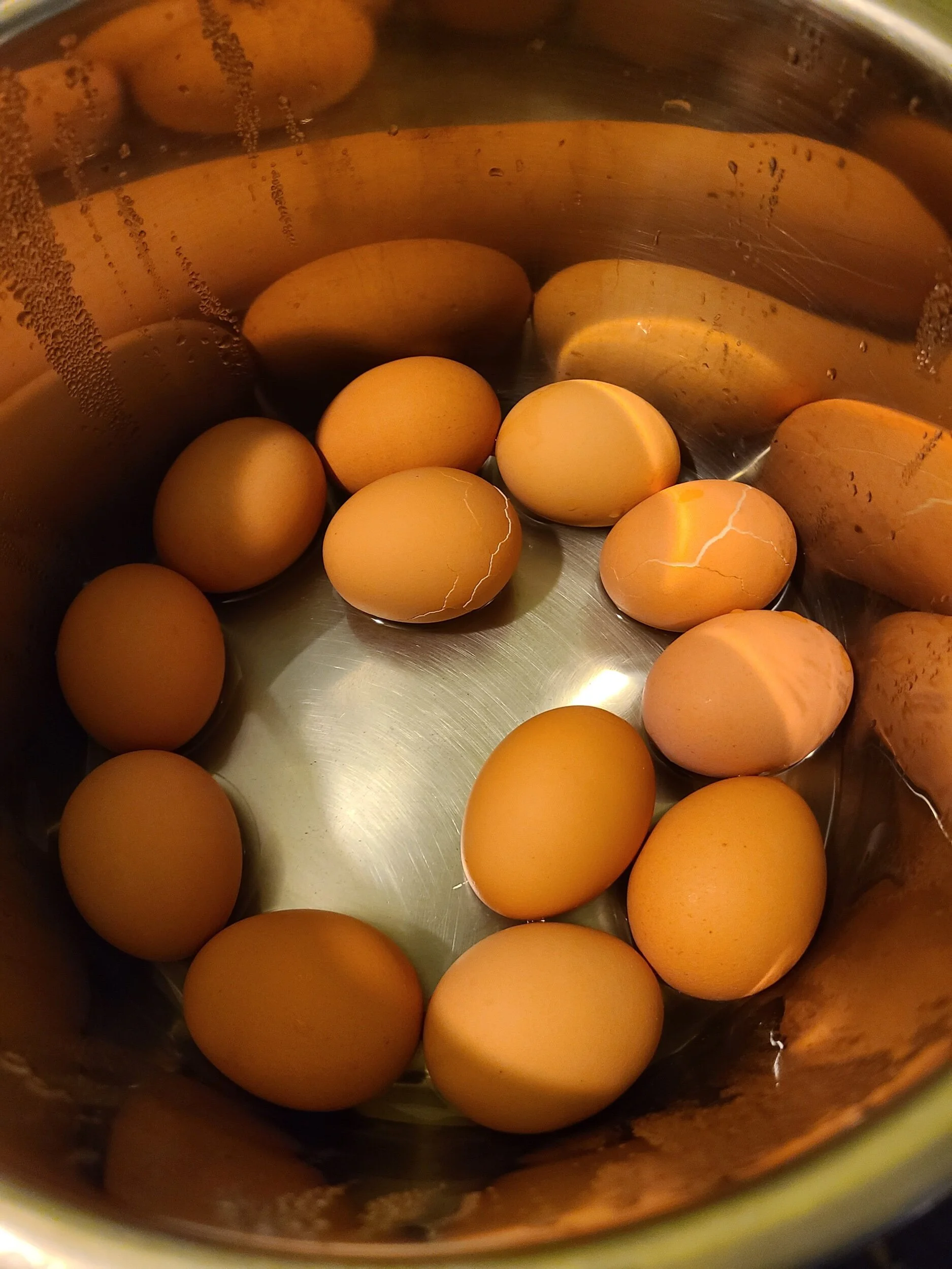 So, That's How to Use My Instant Pot