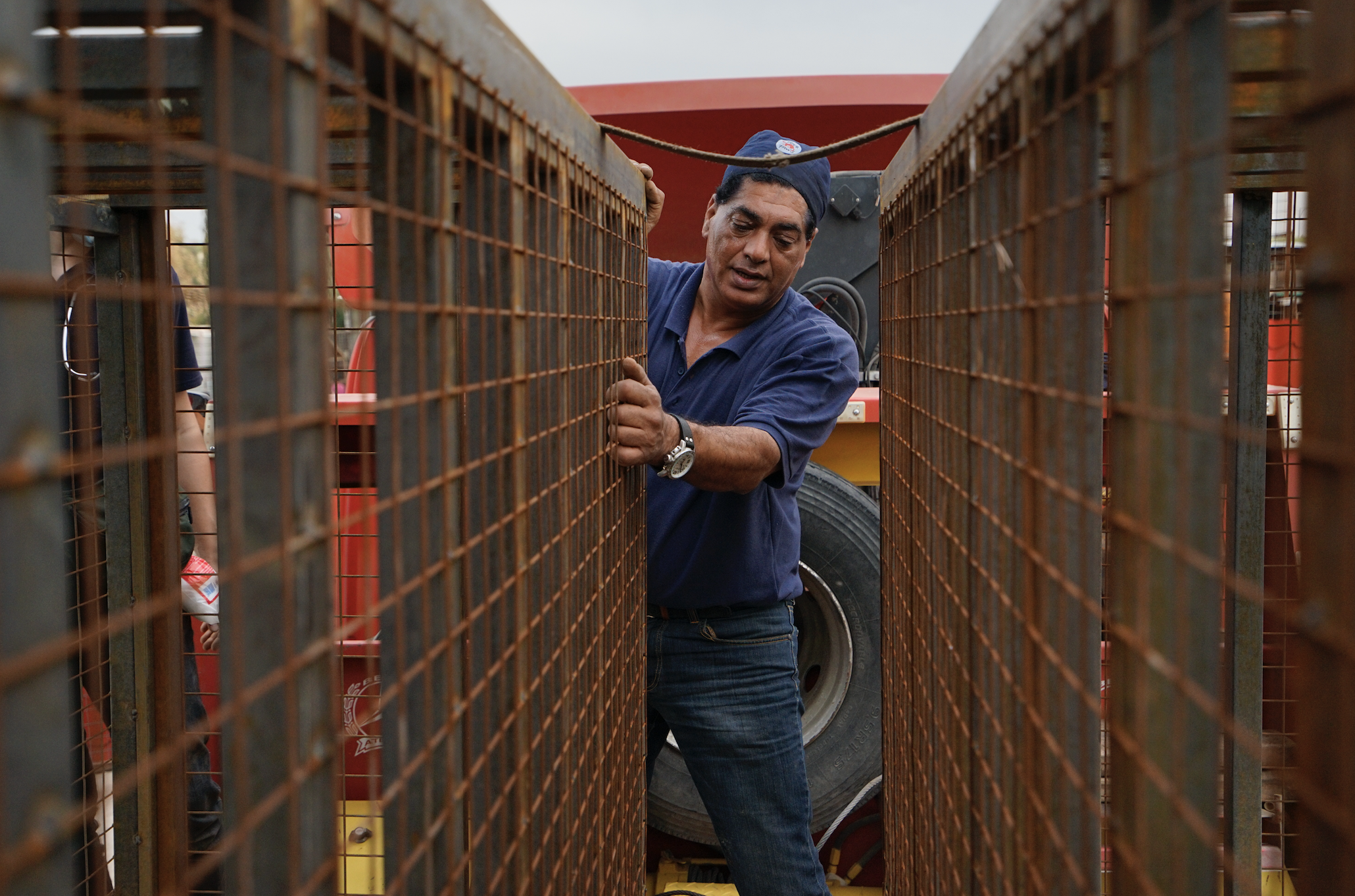  Dr Amir Khalil transporting the animals from Iraq. Photo Four Paws. 