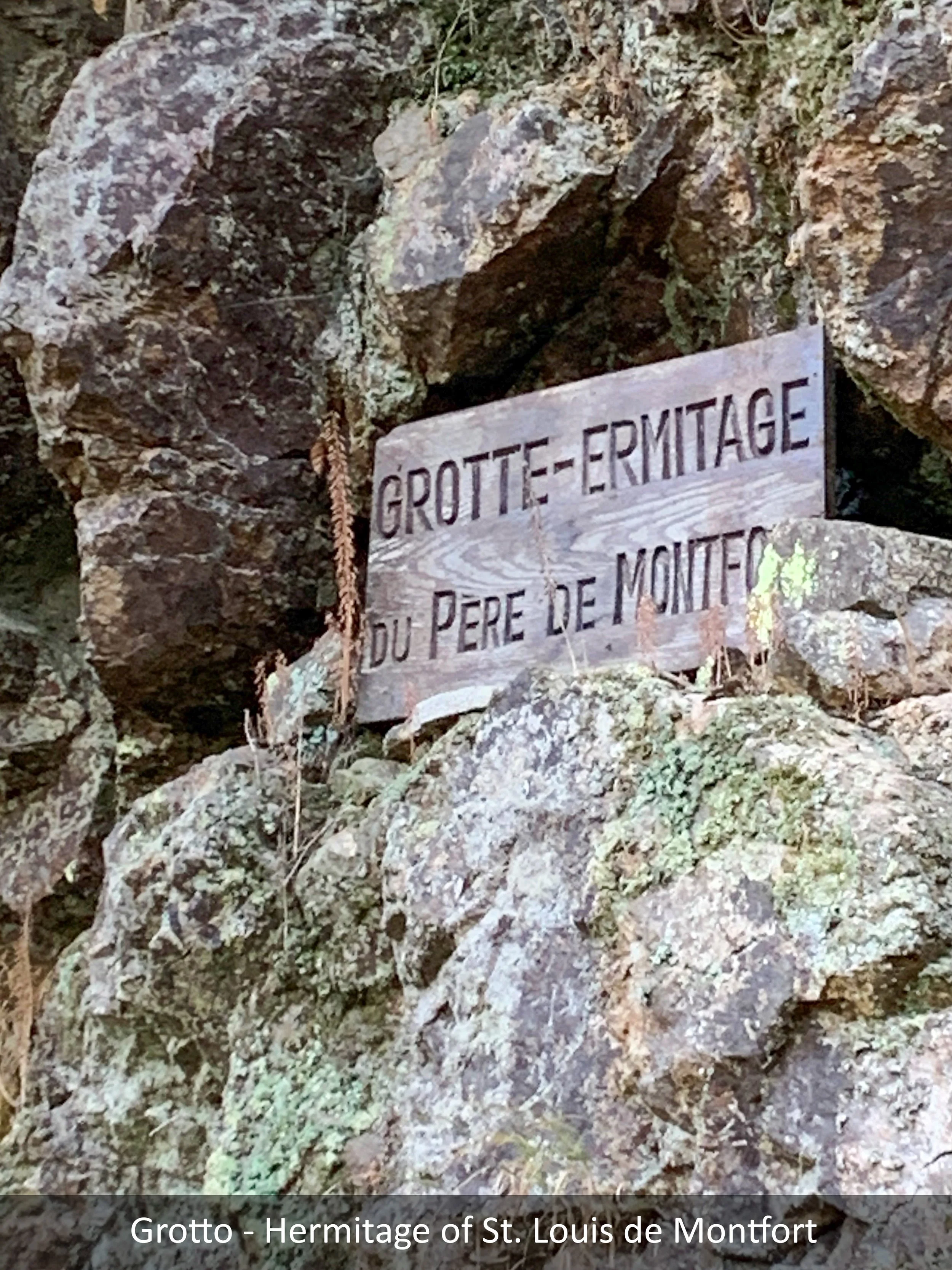 de Montfort 4a.JPG