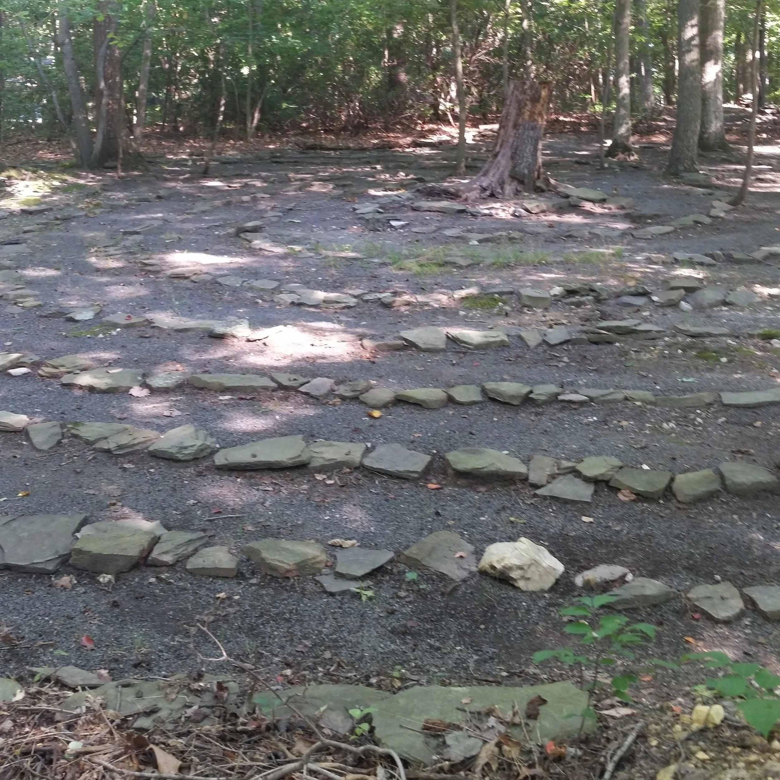 Walk the Labyrinth at Little River United Church of Christ.