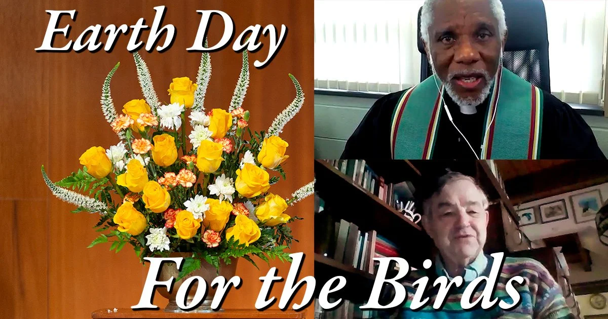 Earth Day: For the Birds