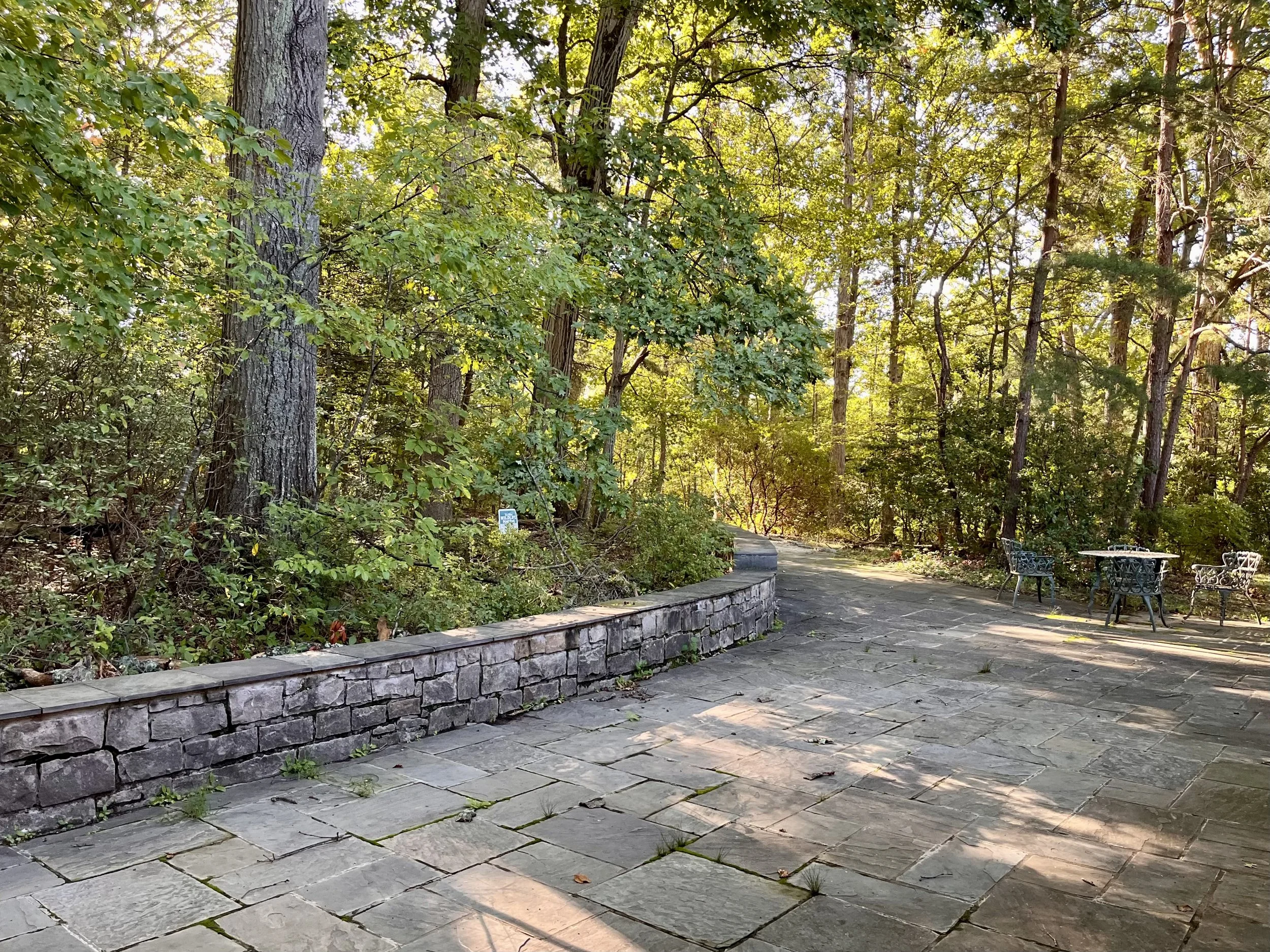 Back_patio_4.jpg