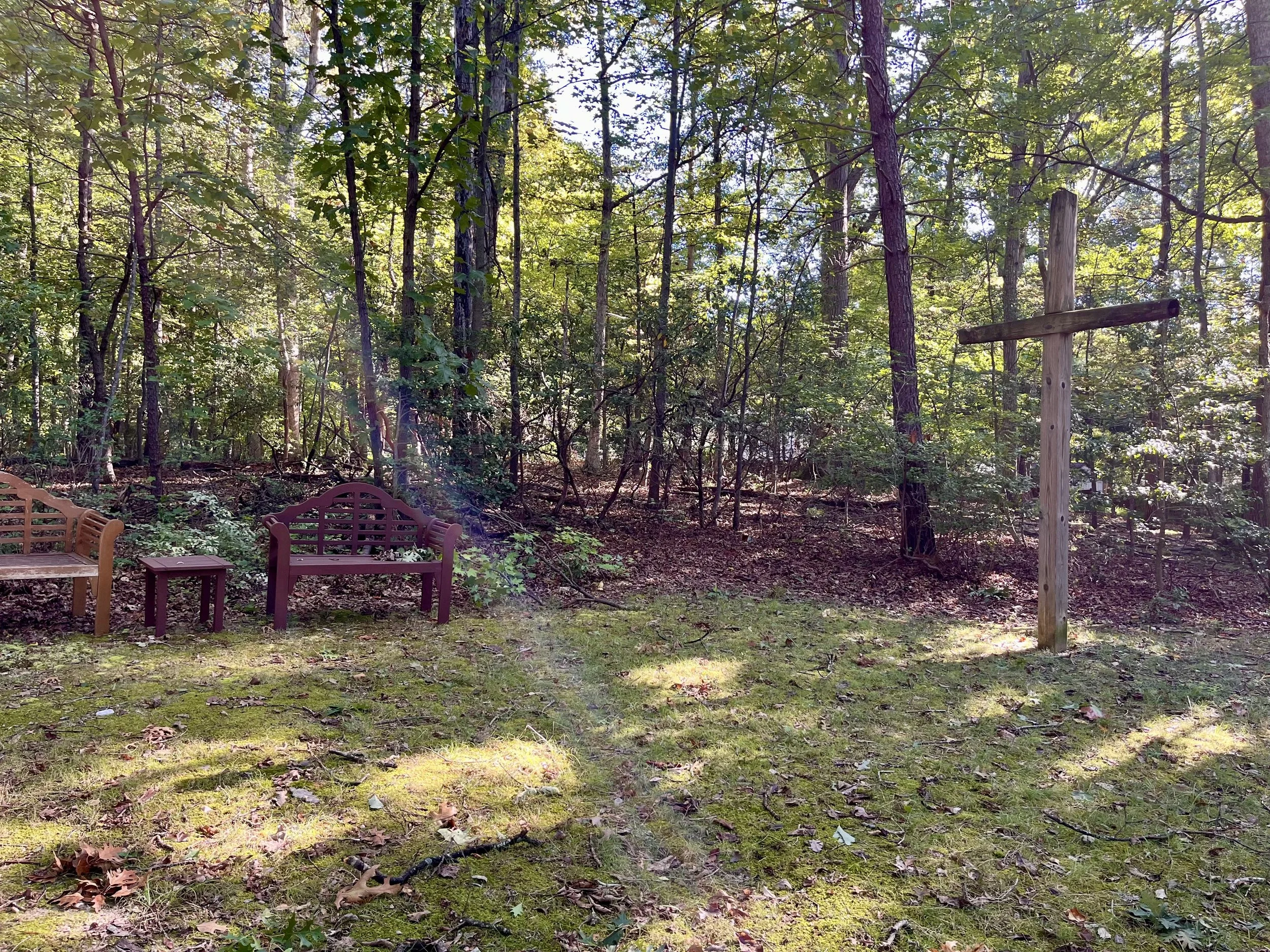 Grove_2.jpg