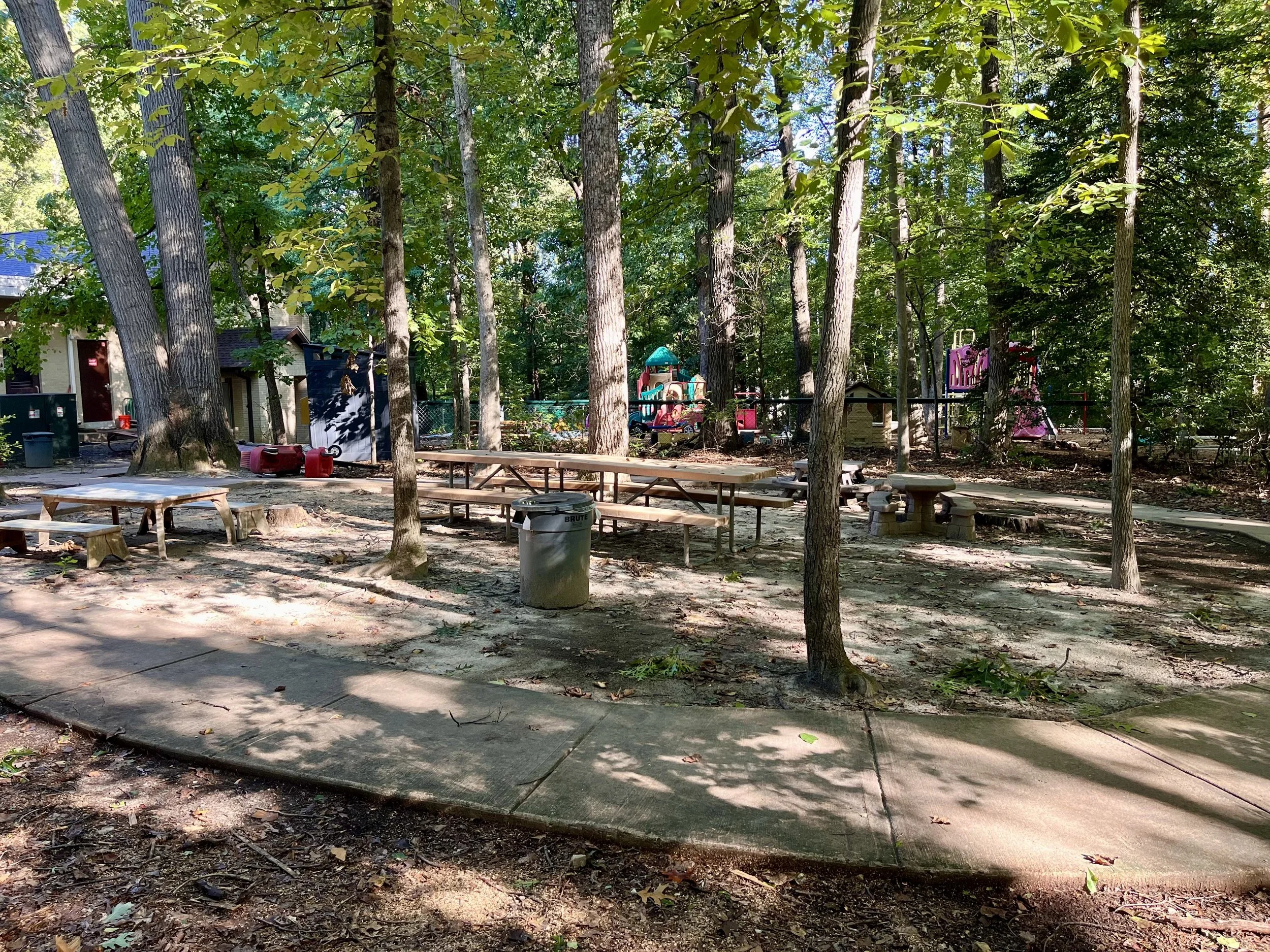 Picnic_2(1).jpg