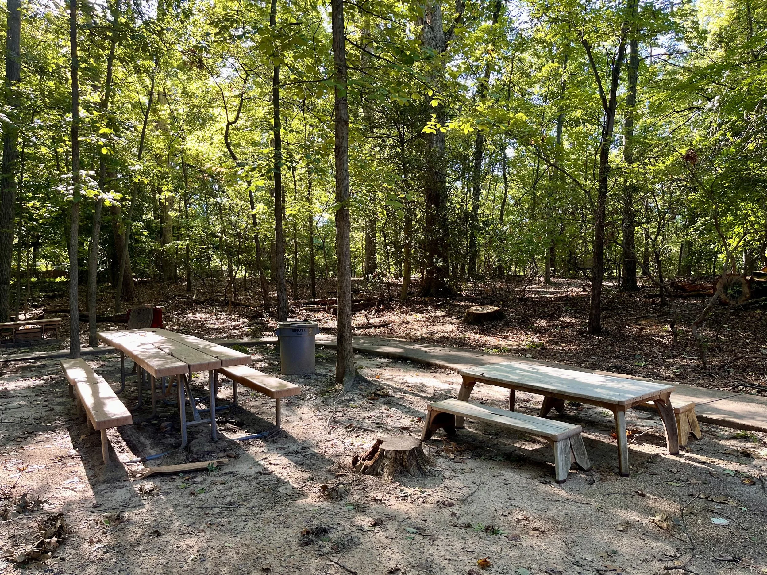 Picnic_3.jpg