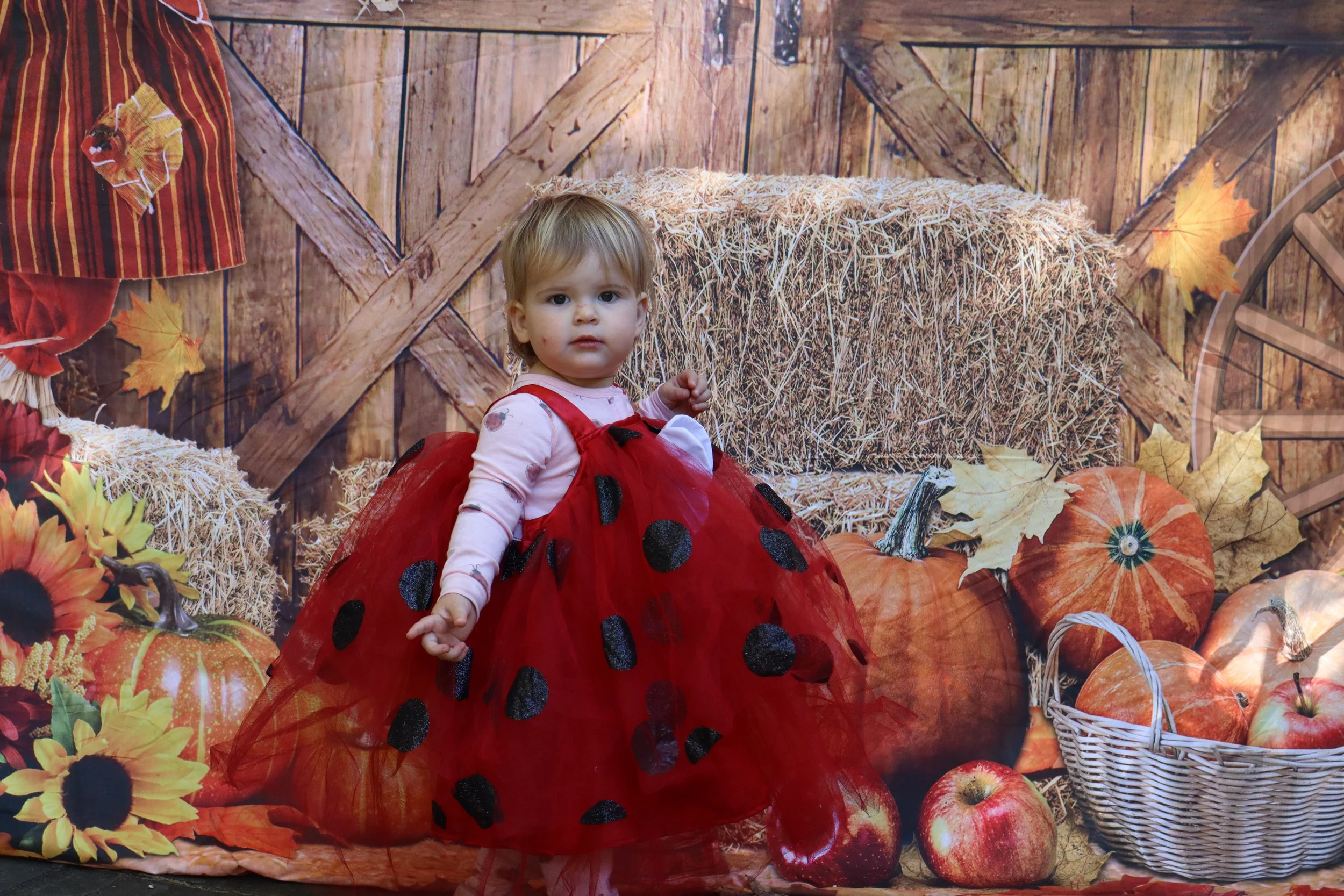 Little-River-Trunk-or-Treat-2026-003.JPG