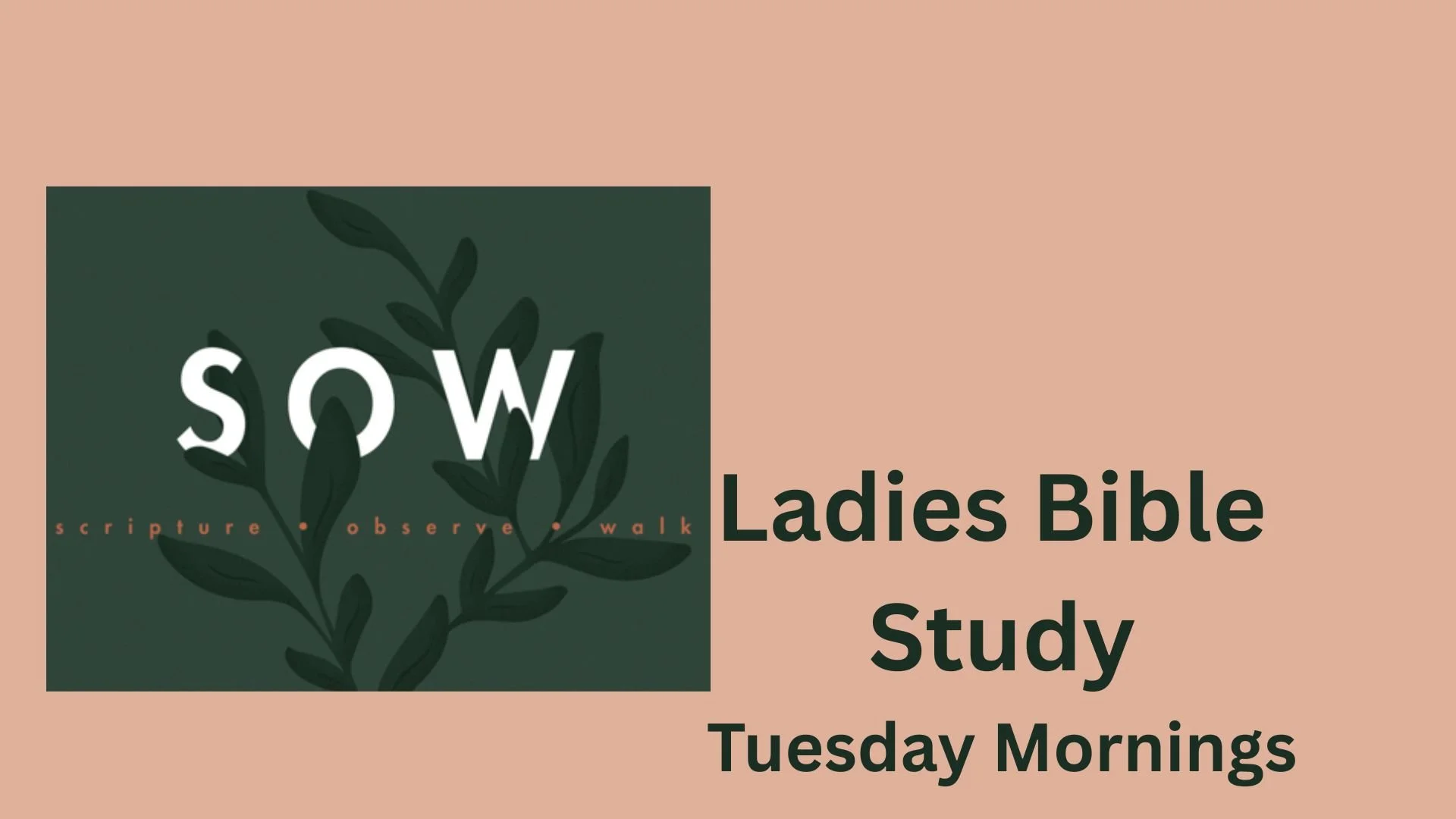 Tuesday Morning Ladies Bible Study